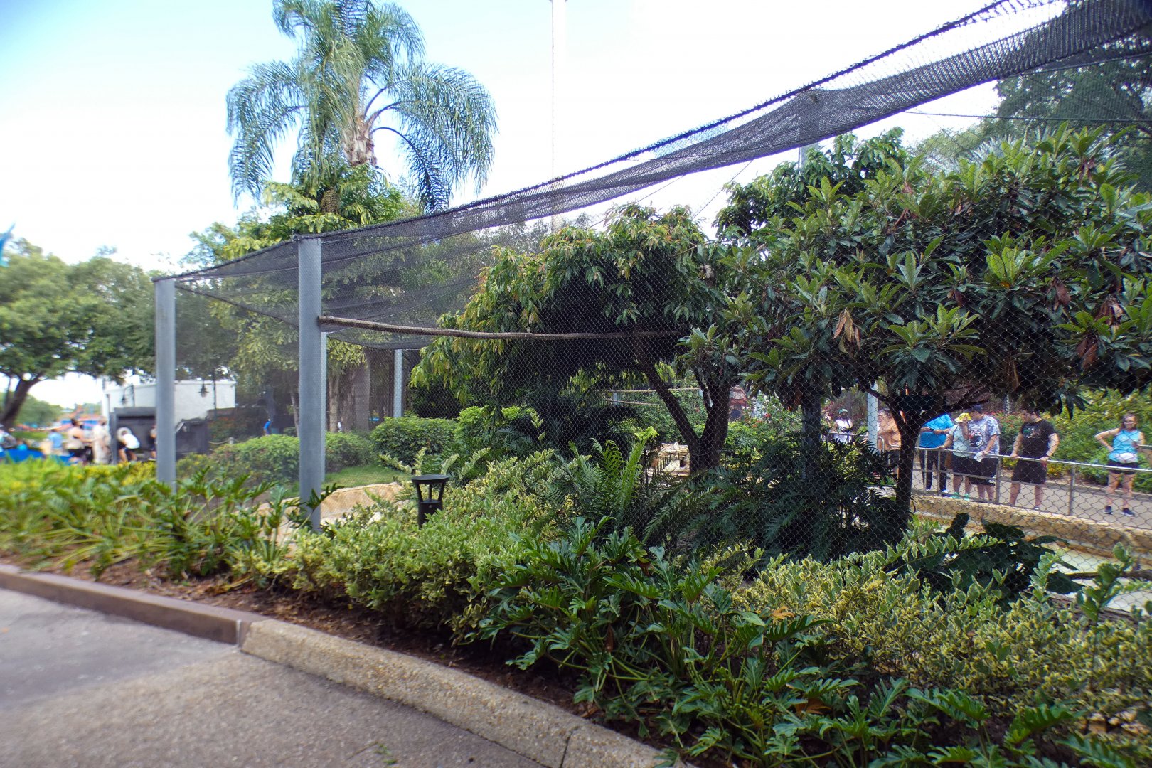 May. 2021 - Aviary Outside of Shark Encounter (10 Species)