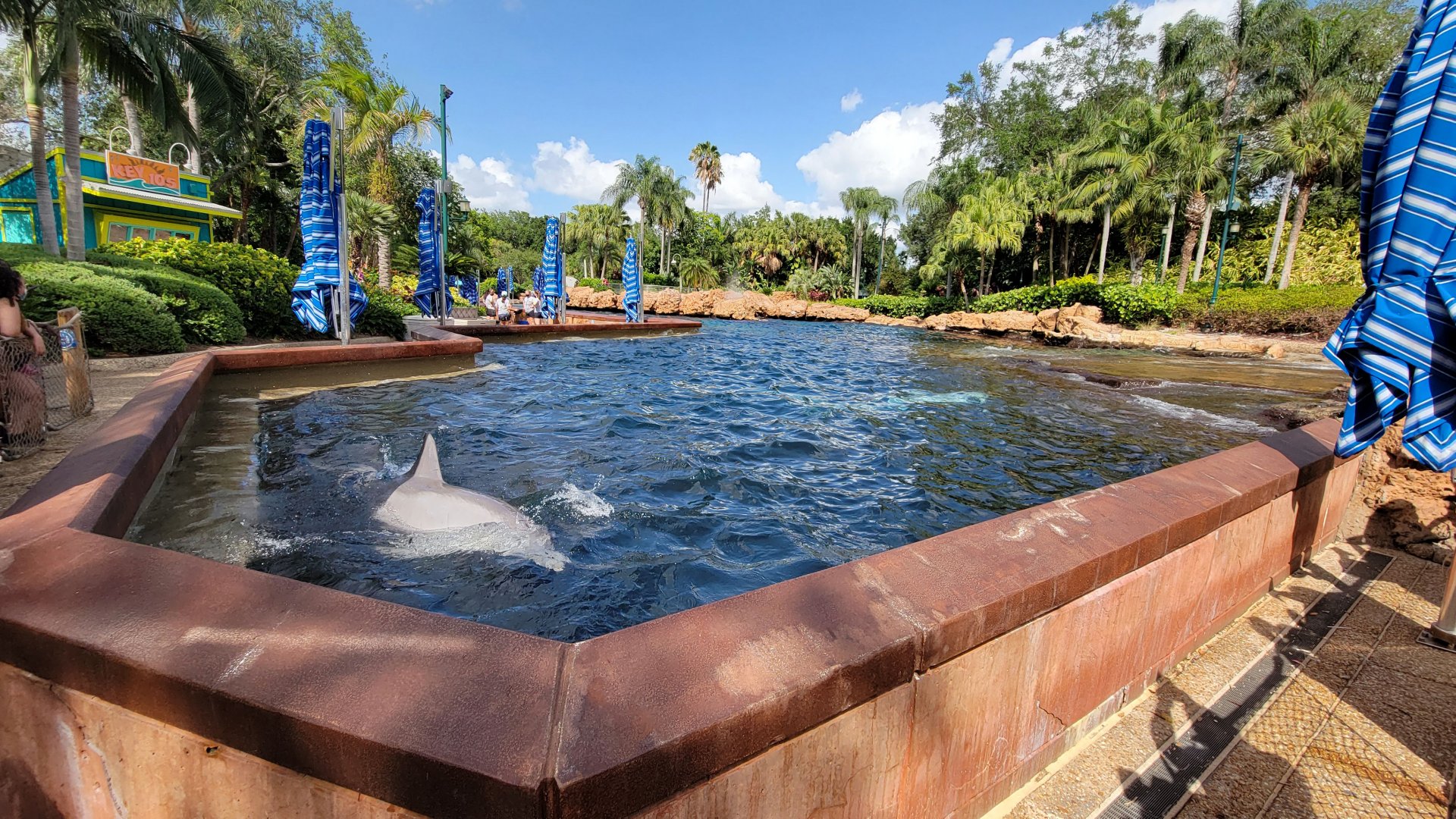 May. 2021 - Dolphin Cove