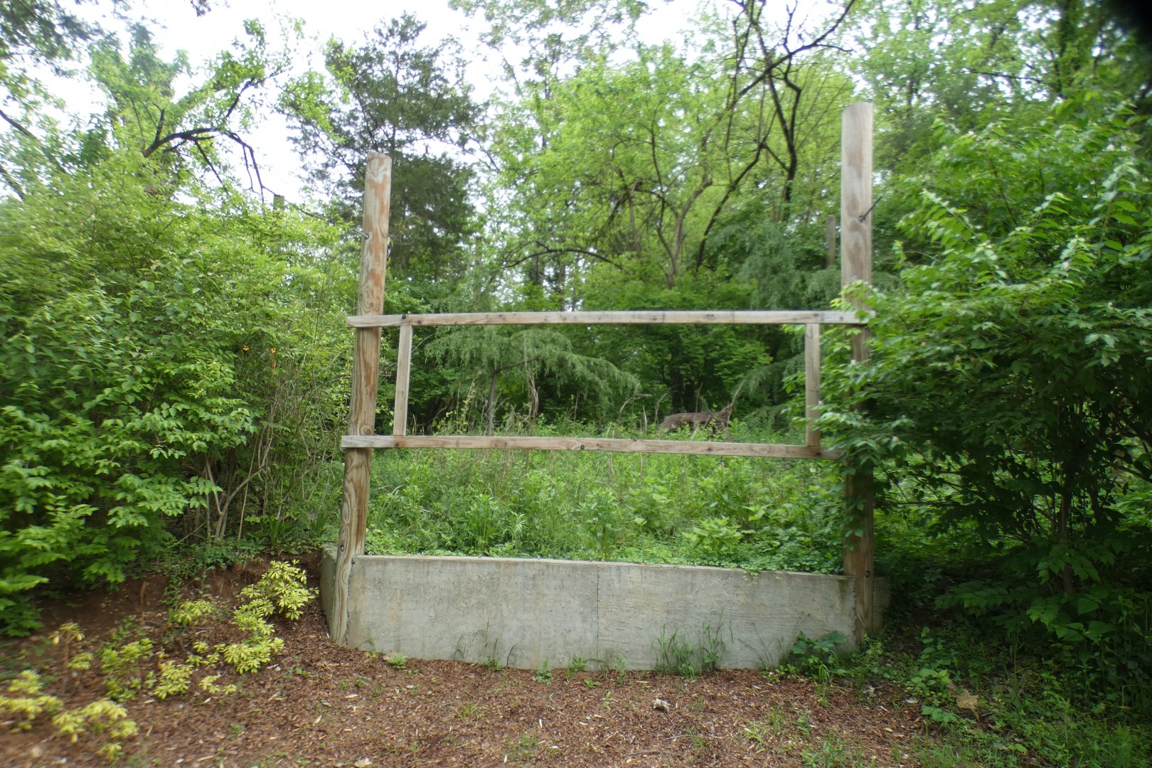 May. 2021 - Future Site of the Komodo Dragon Exhibit