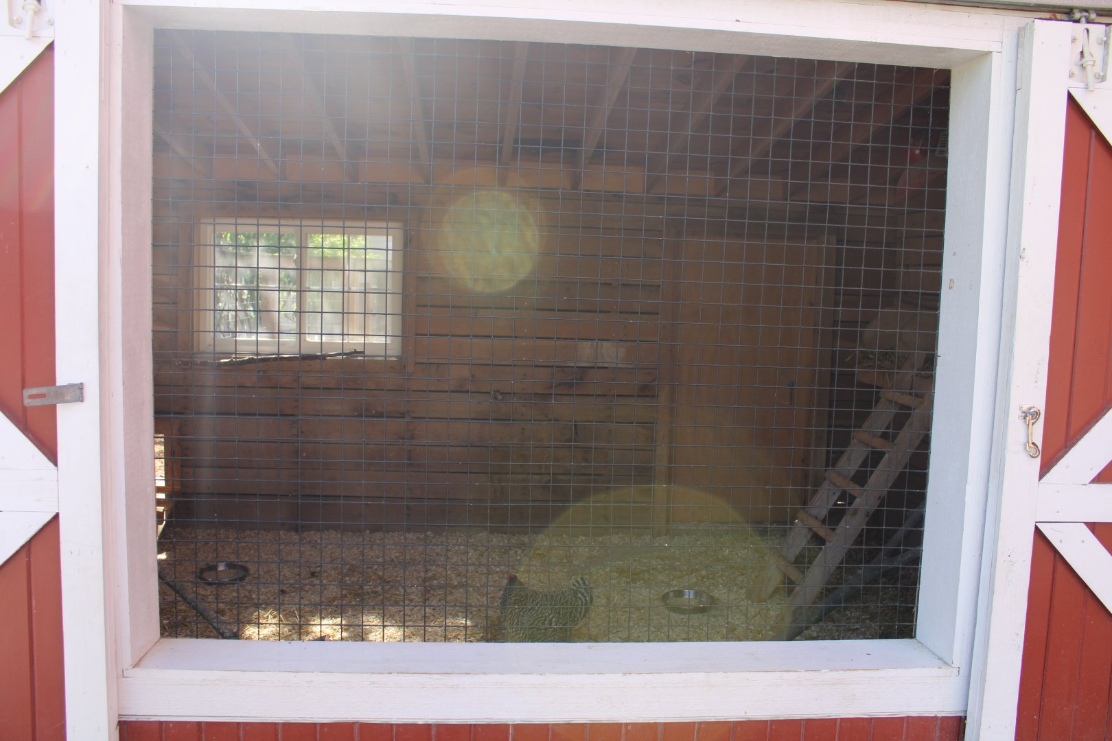 May. 2021 - Indiana Family Farm - Chicken Coop