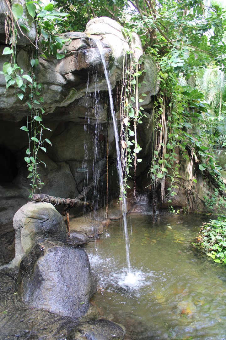 May. 2021 - Indonesian Rainforest - Dome Waterfall