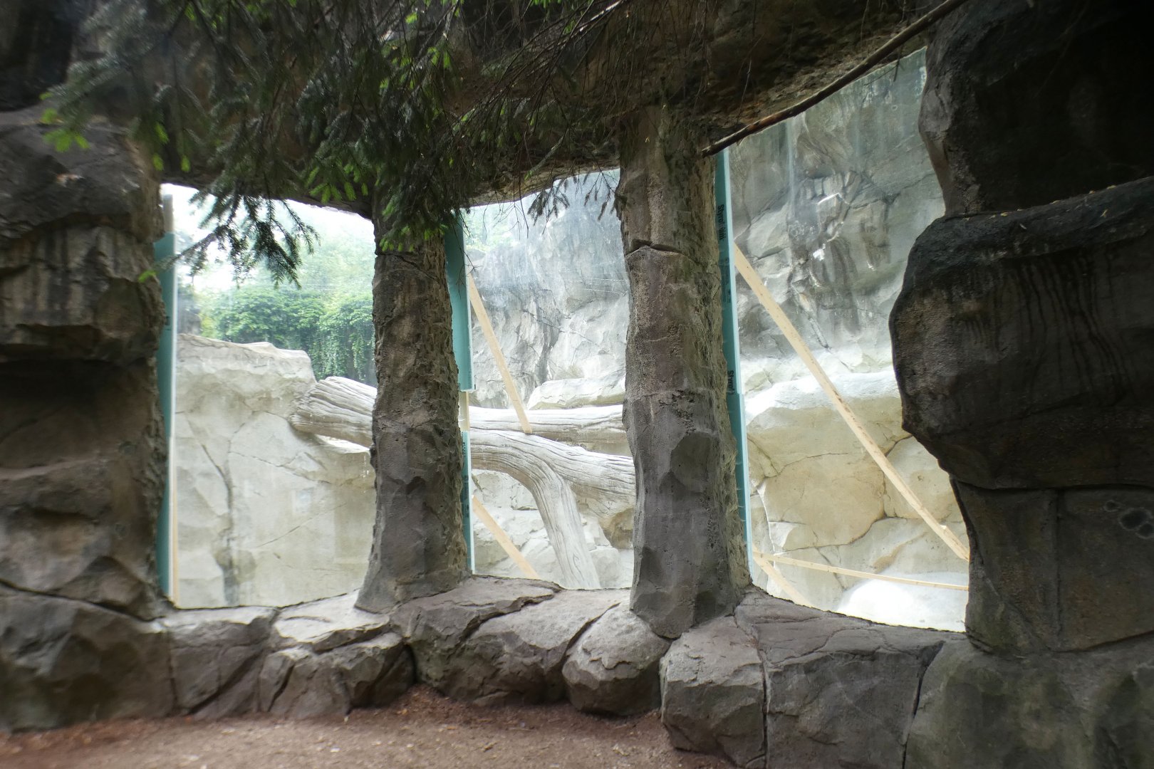 May. 2021 - Lords of the Arctic - Empty Polar Bear Pool