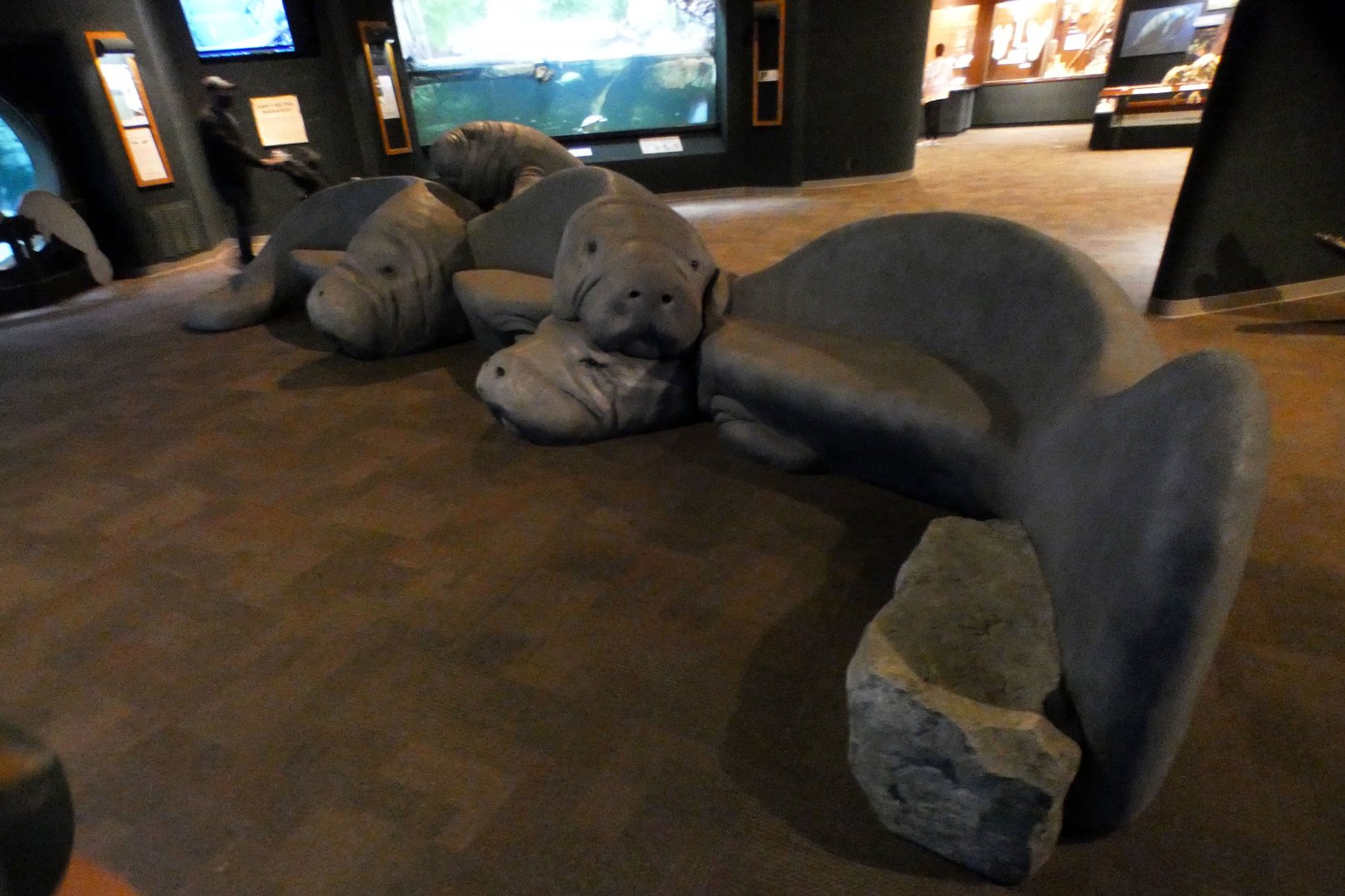 May. 2021 - Manatee Springs - New Manatee Benches