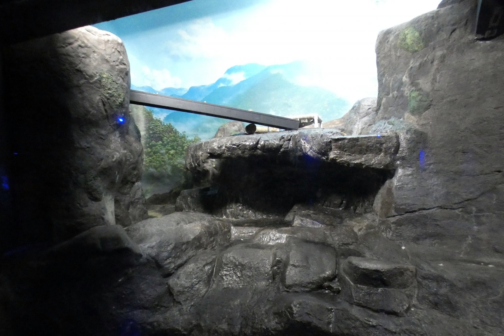 May. 2021 - Night Hunters (Lights On) - Southern Brazilian Ocelot Exhibit (Left Side)