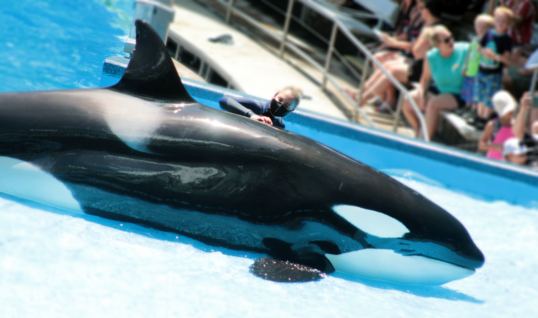 May. 2021 - Orca Encounter - Malia