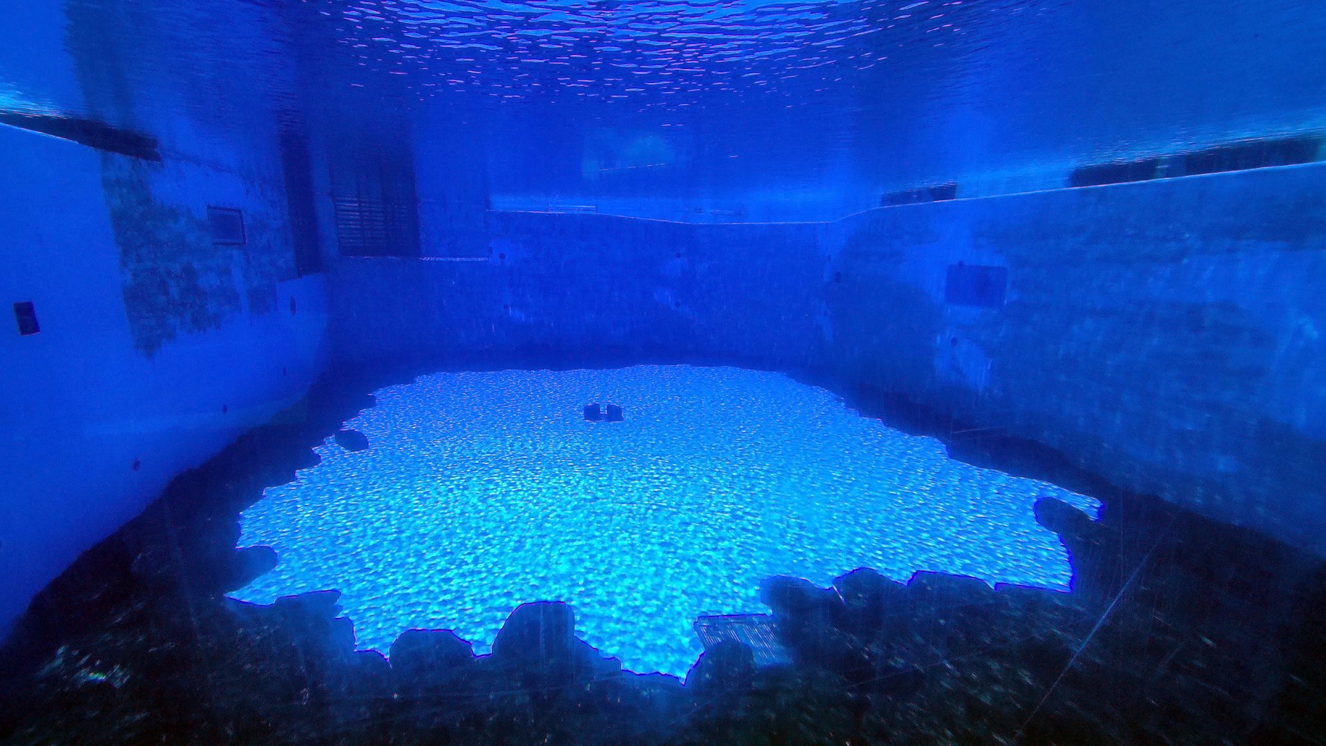 May. 2021 - Orca Encounter - Underwater Viewing