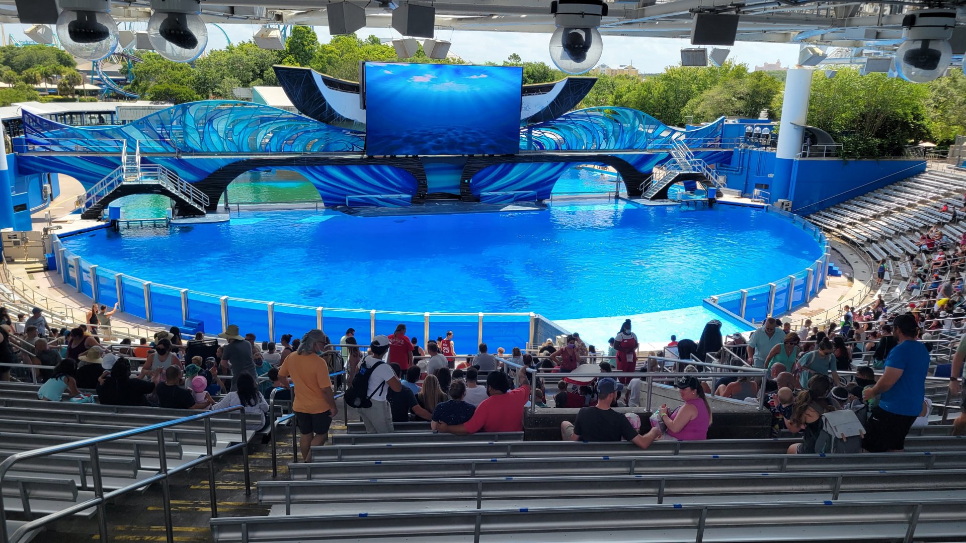 May. 2021 - Orca Encounter