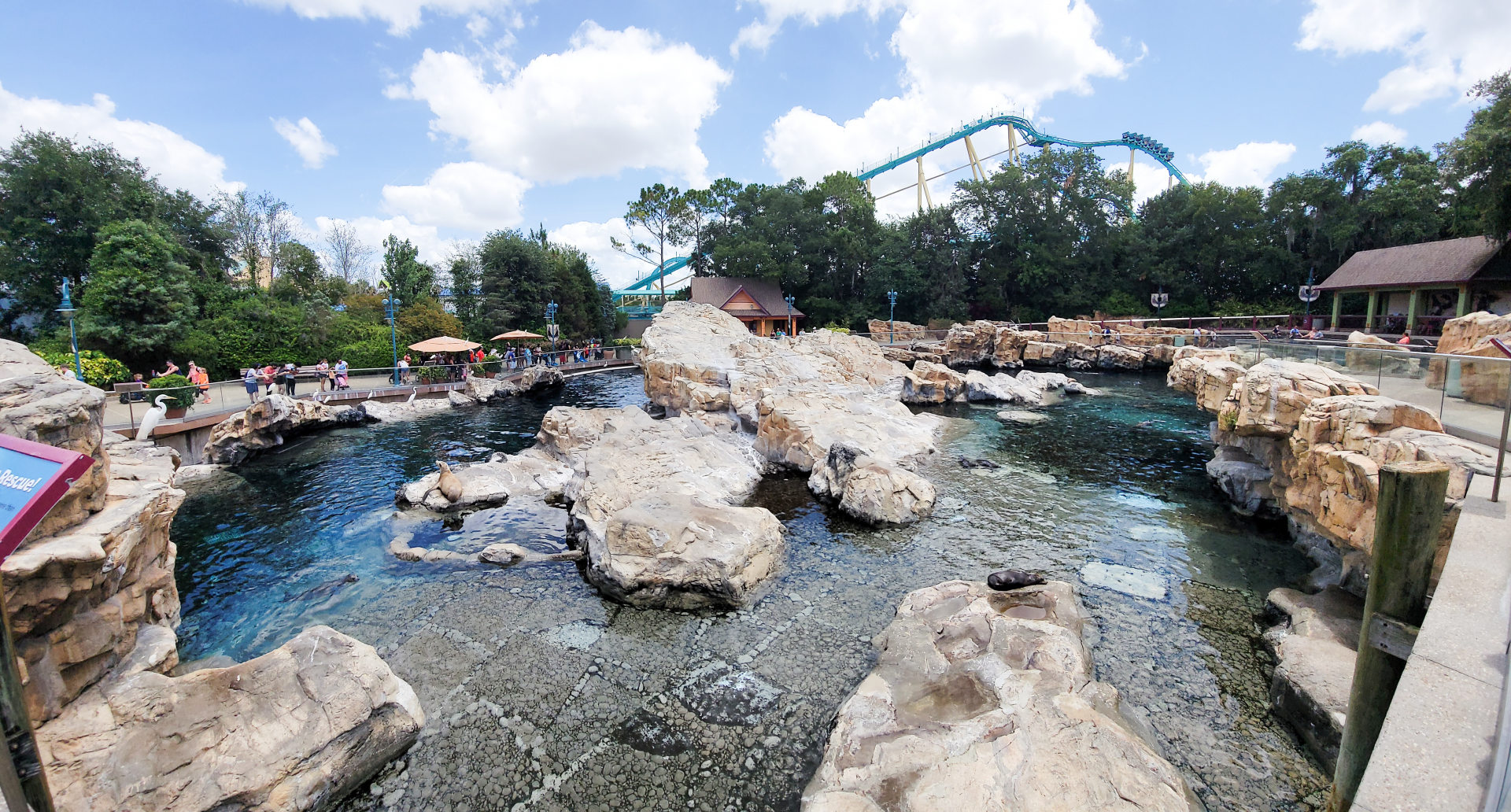 May. 2021 - Pacific Point Preserve (California Sea Lions & Harbor Seals)