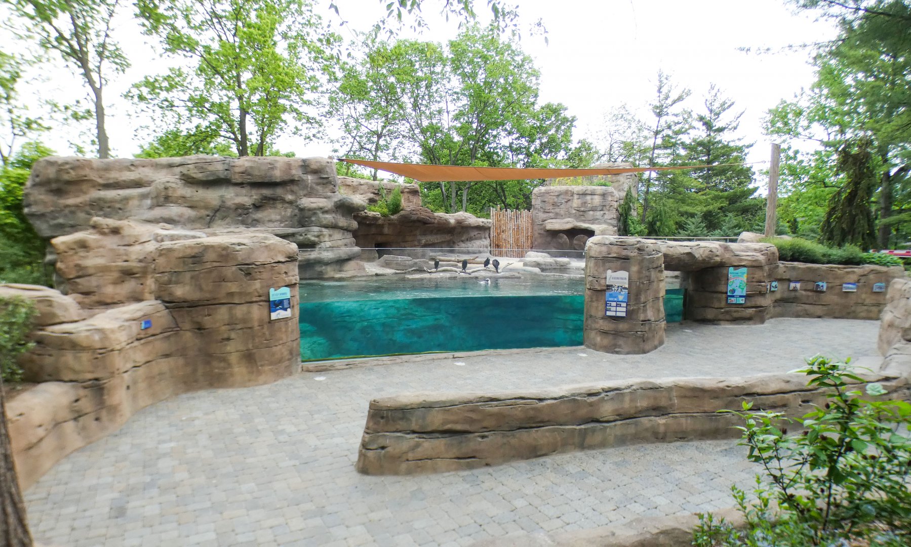 May. 2021 - Penguin Point (New 2020)