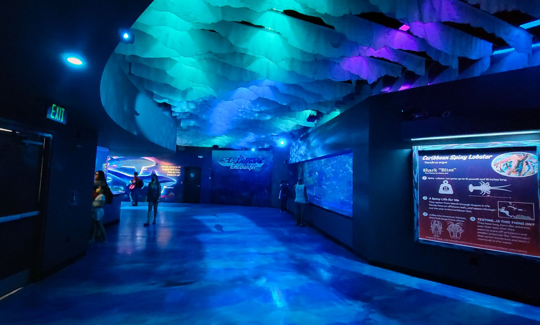 May. 2021 - Shark Encounter - Main Hallway