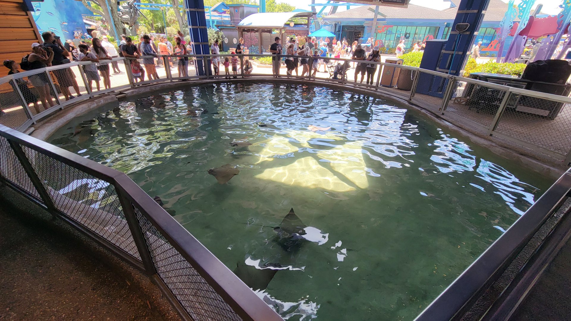 May. 2021 - Shark Encounter - Outdoor Shark Tank (11 Species)