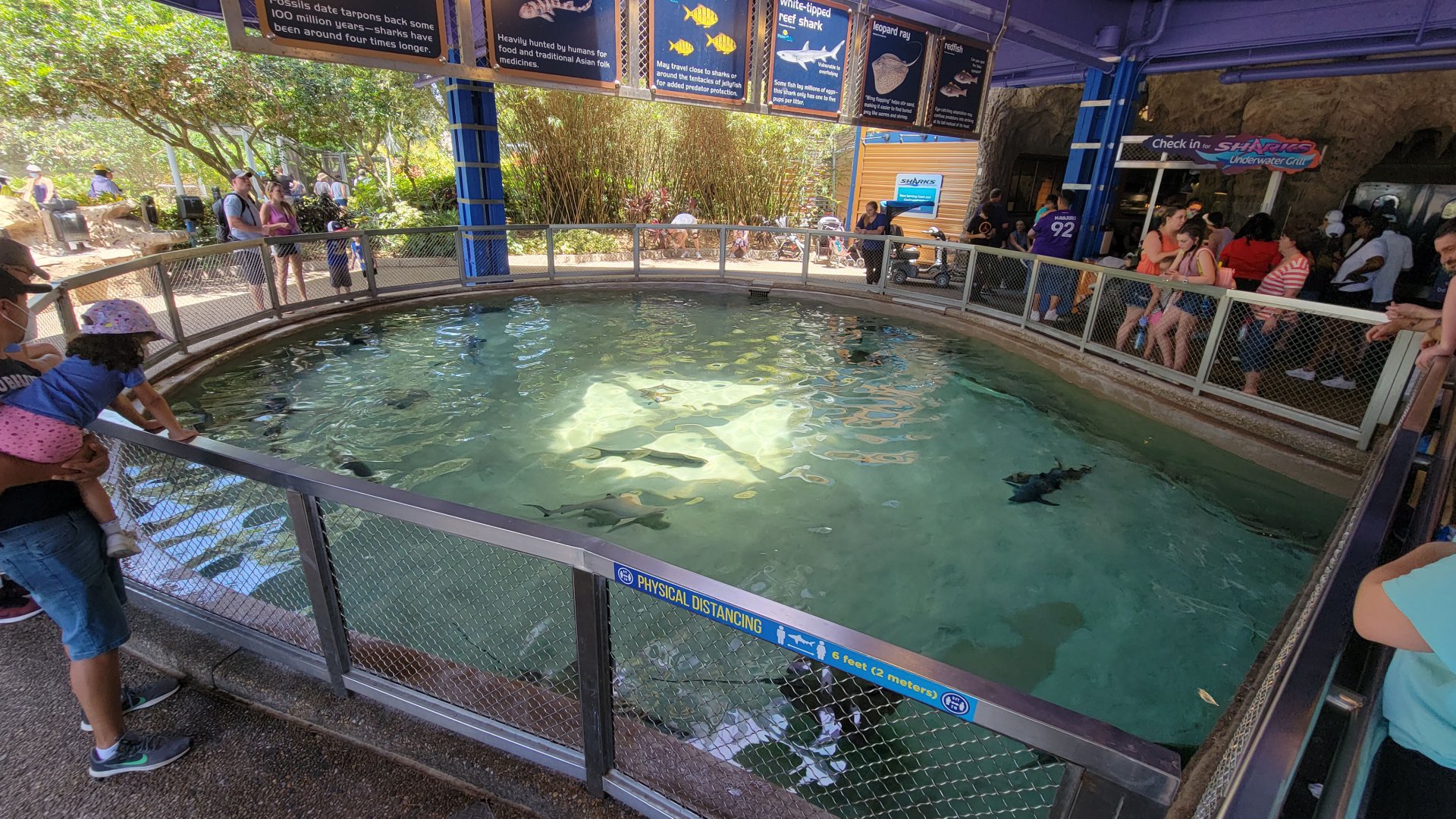 May. 2021 - Shark Encounter - Outdoor Shark Tank (11 Species)