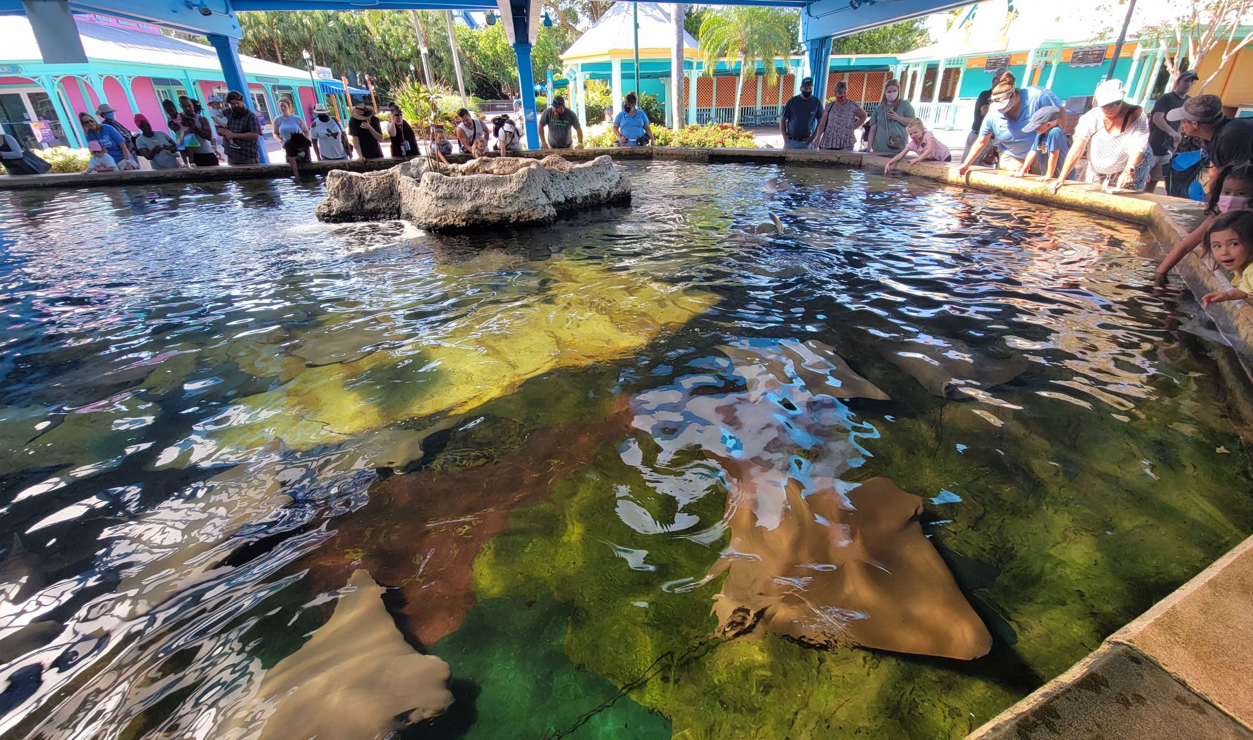 May. 2021 - Stingray Lagoon