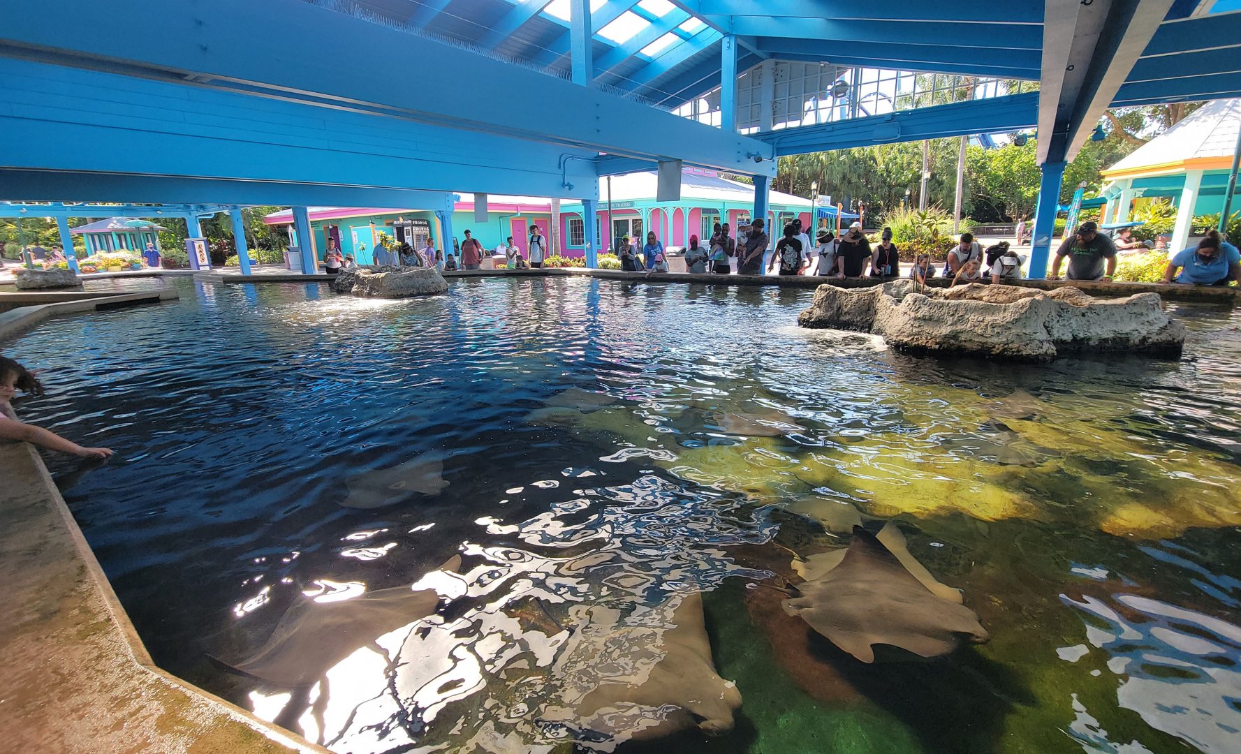 May. 2021 - Stingray Lagoon