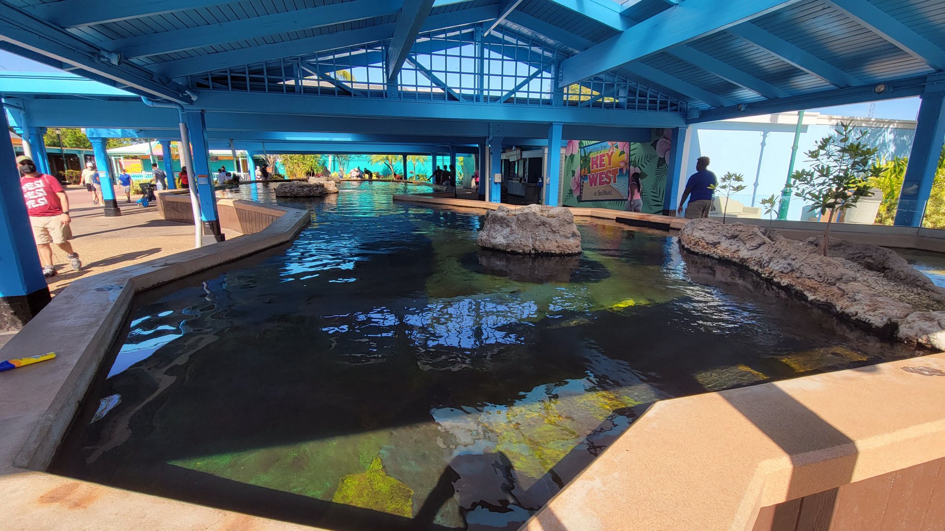 May. 2021 - Stingray Lagoon