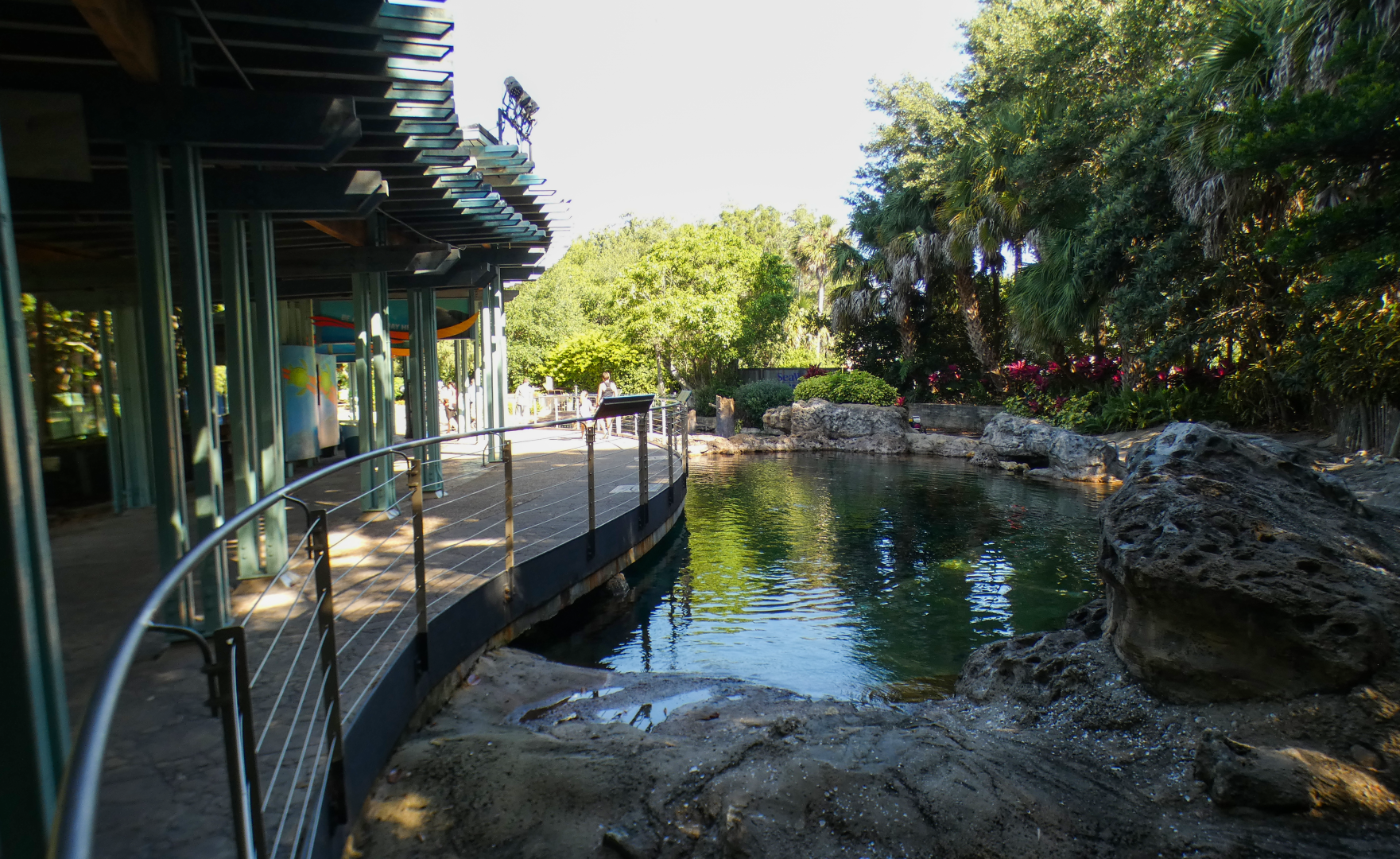 May. 2021 - Turtle Trek & Manatee Rescue - Loggerhead/Green Sea Turtle Exhibit