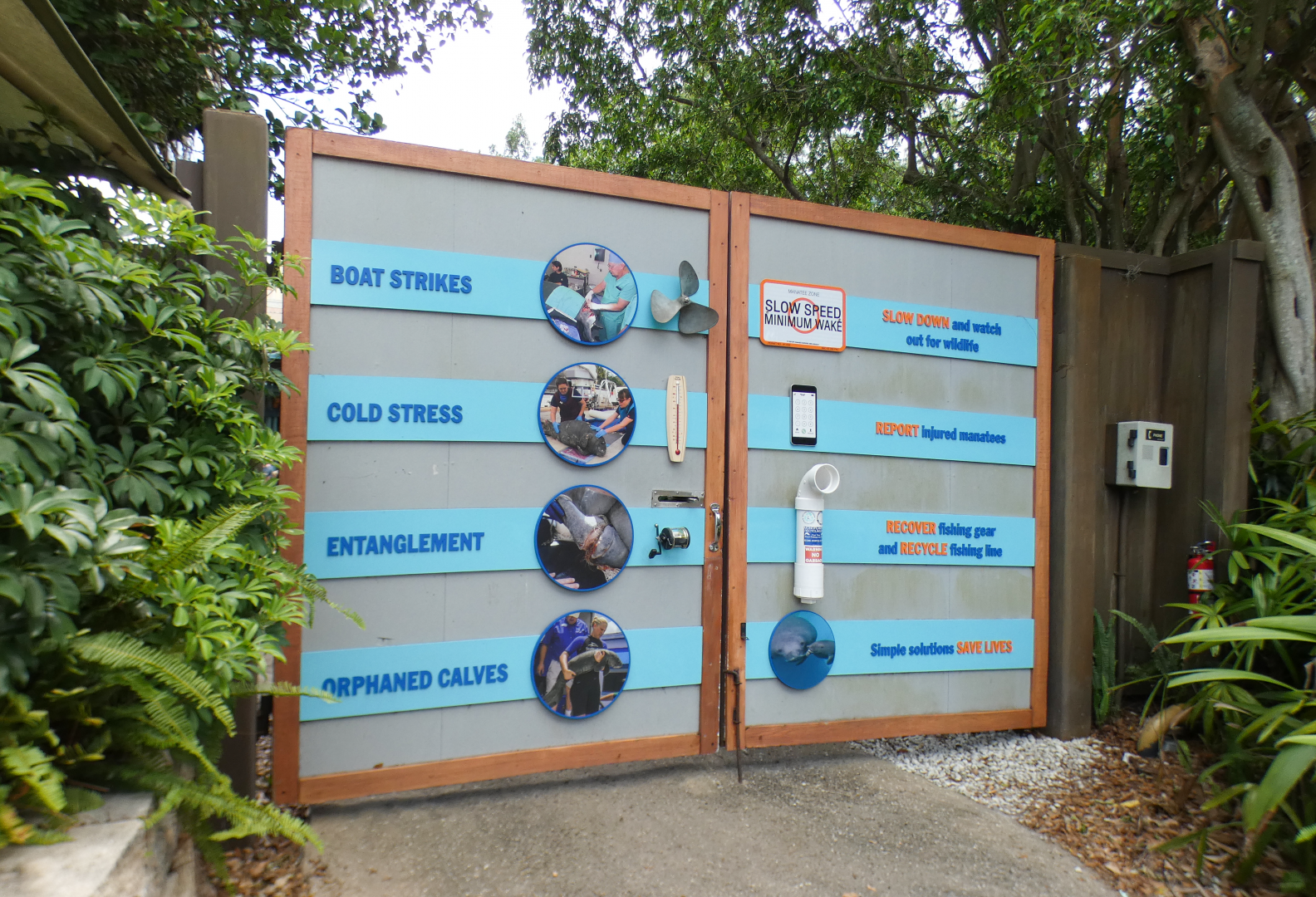 May. 2021 - Turtle Trek & Manatee Rescue - Manatee Injury Signage