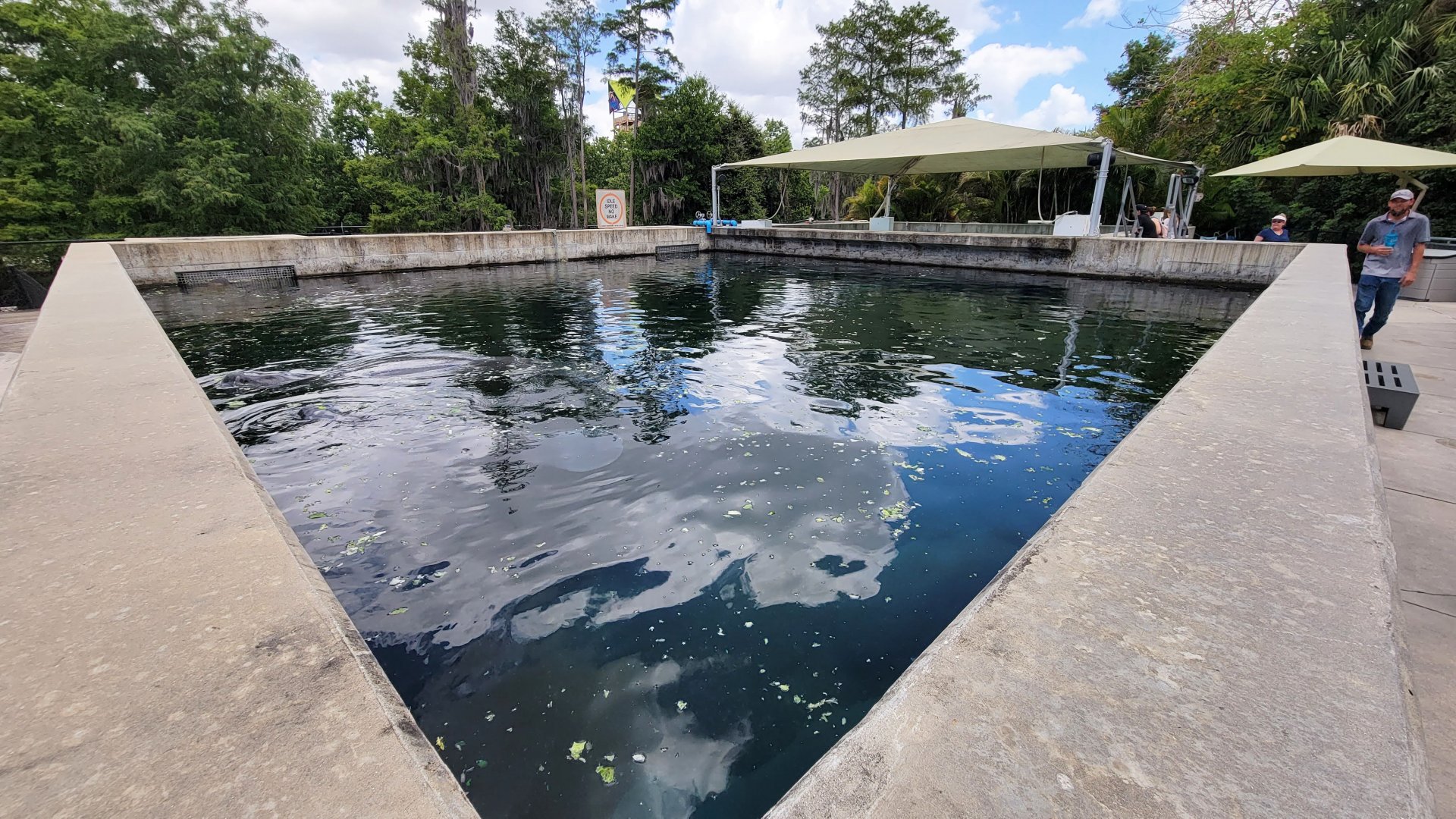 May. 2021 - Turtle Trek & Manatee Rescue - Second Manatee Rehab Tank