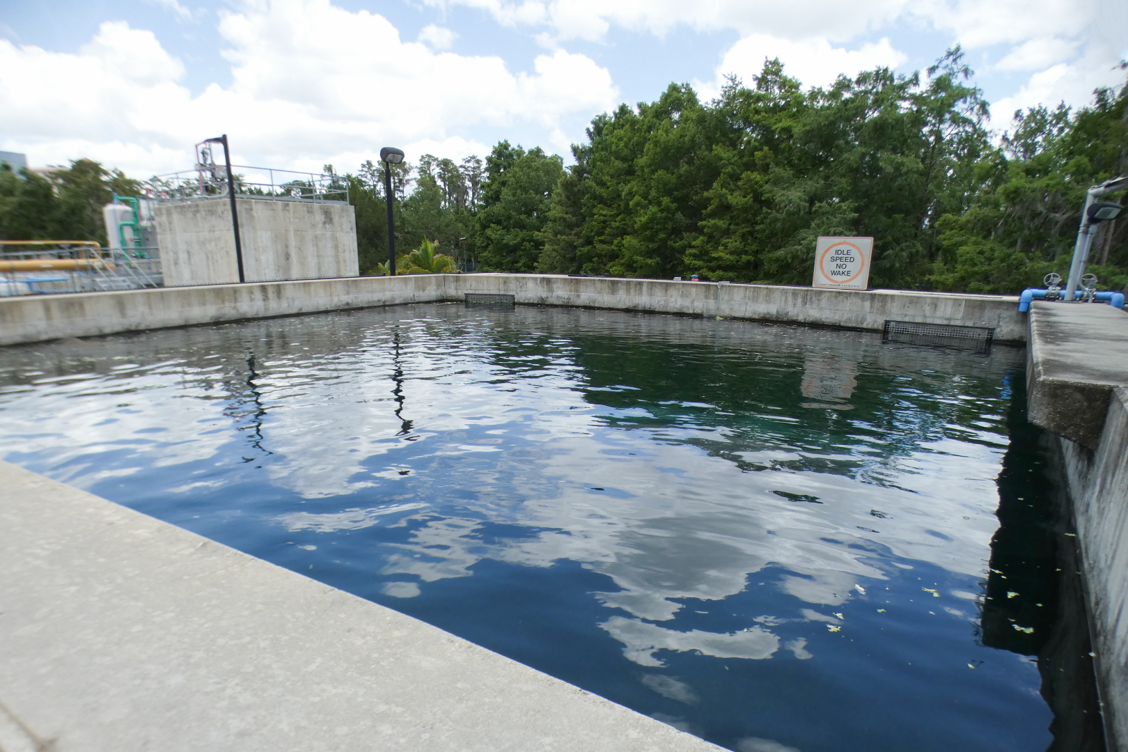 May. 2021 - Turtle Trek & Manatee Rescue - Second Manatee Rehab Tank