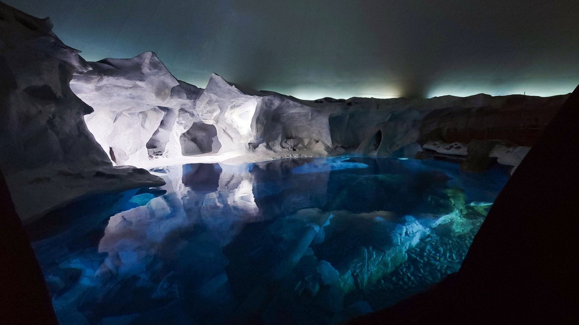 May. 2021 - Wild Arctic - Beluga Exhibit