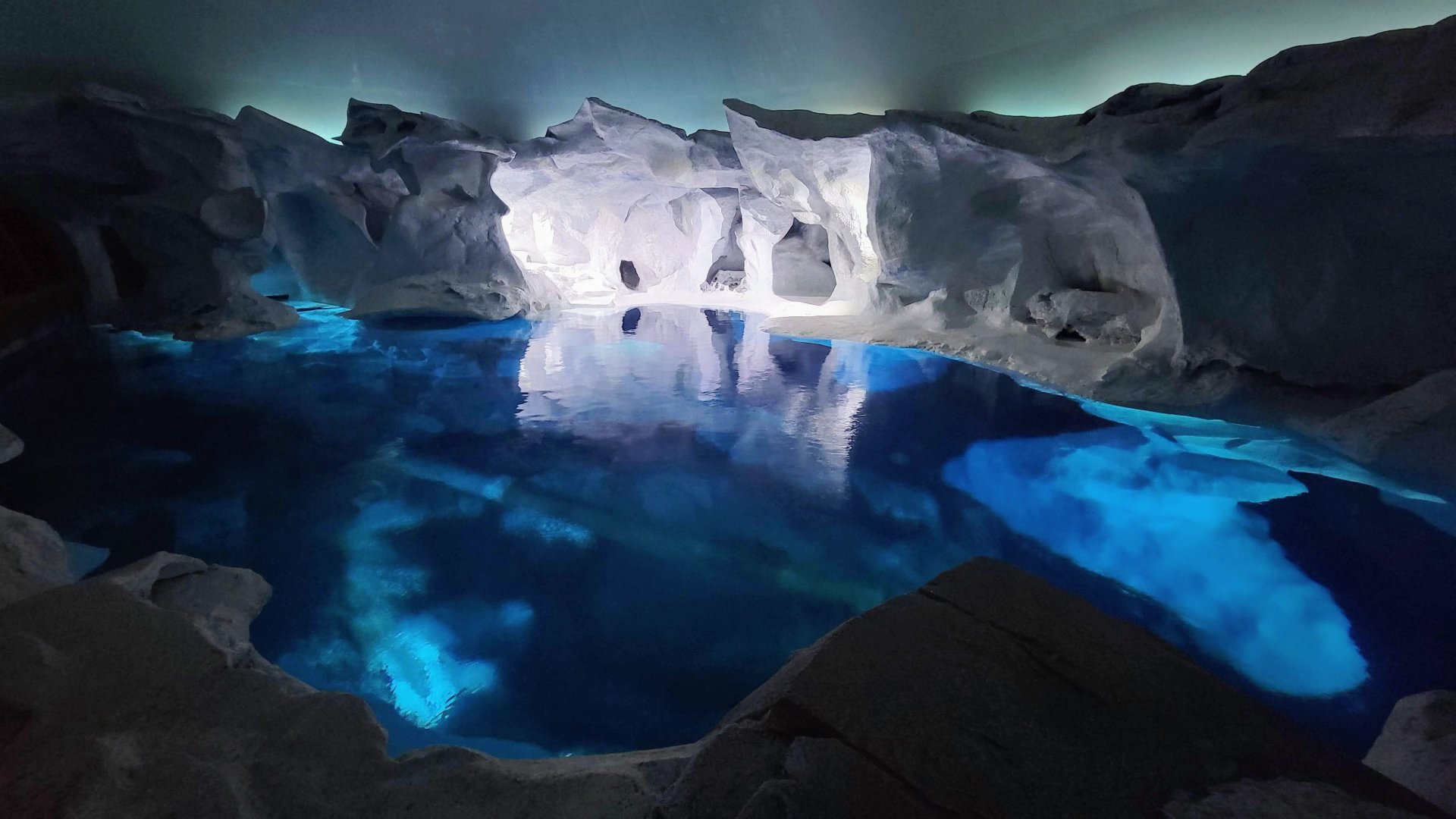 May. 2021 - Wild Arctic - Beluga Exhibit