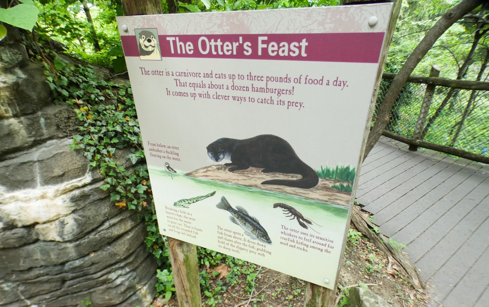 May. 2021 - Wolf Woods - River Otter Signage