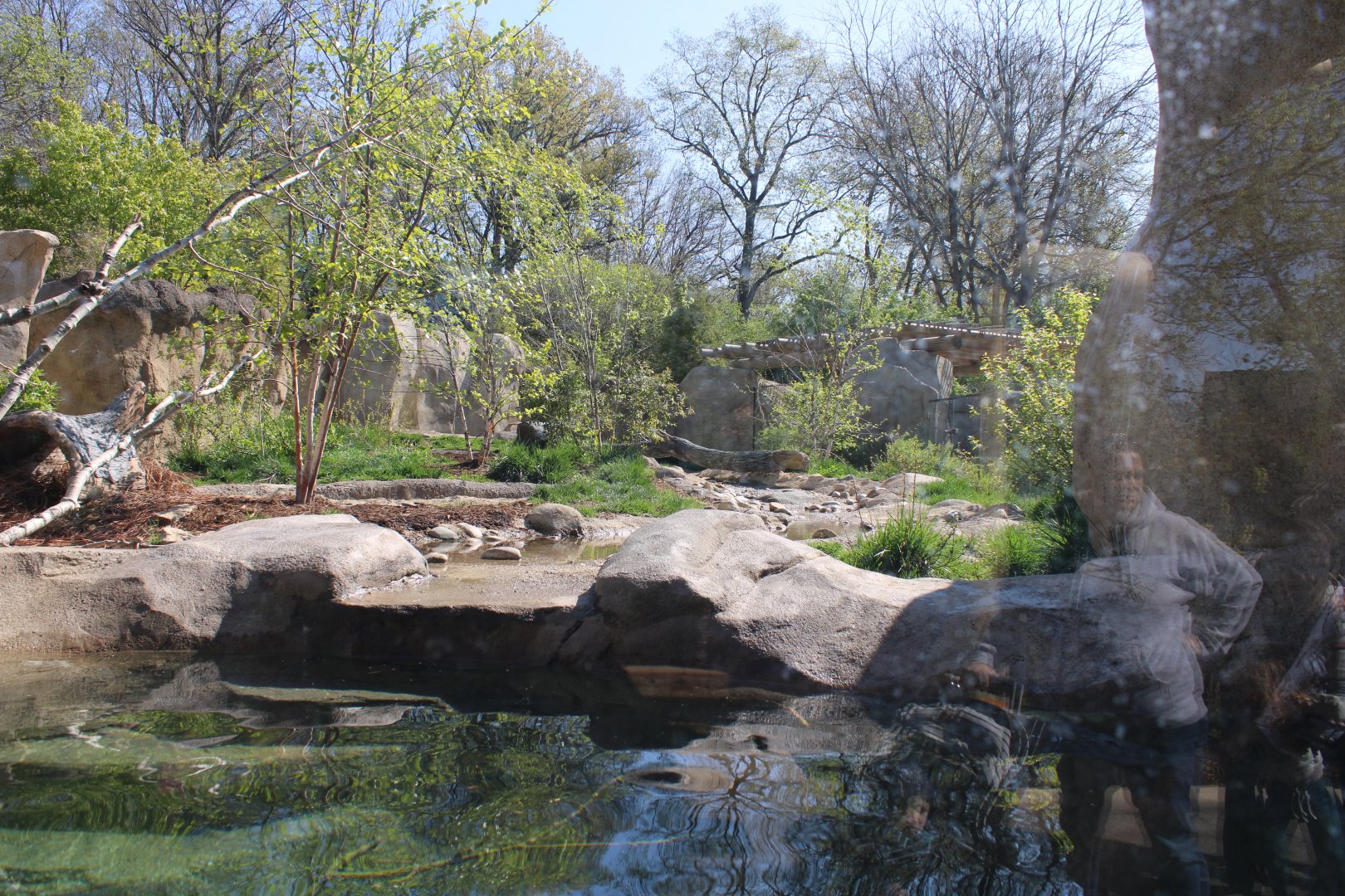 May. 2021 - Zoo Central - River Otter Exhibit