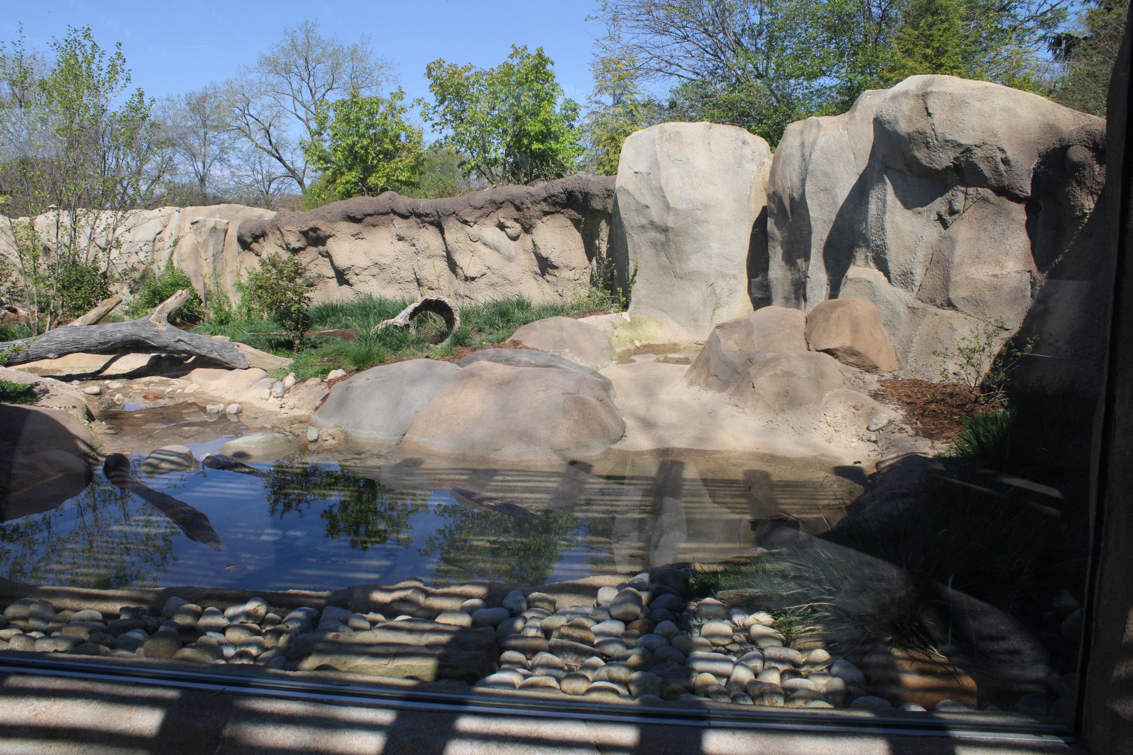 May. 2021 - Zoo Central - River Otter Exhibit