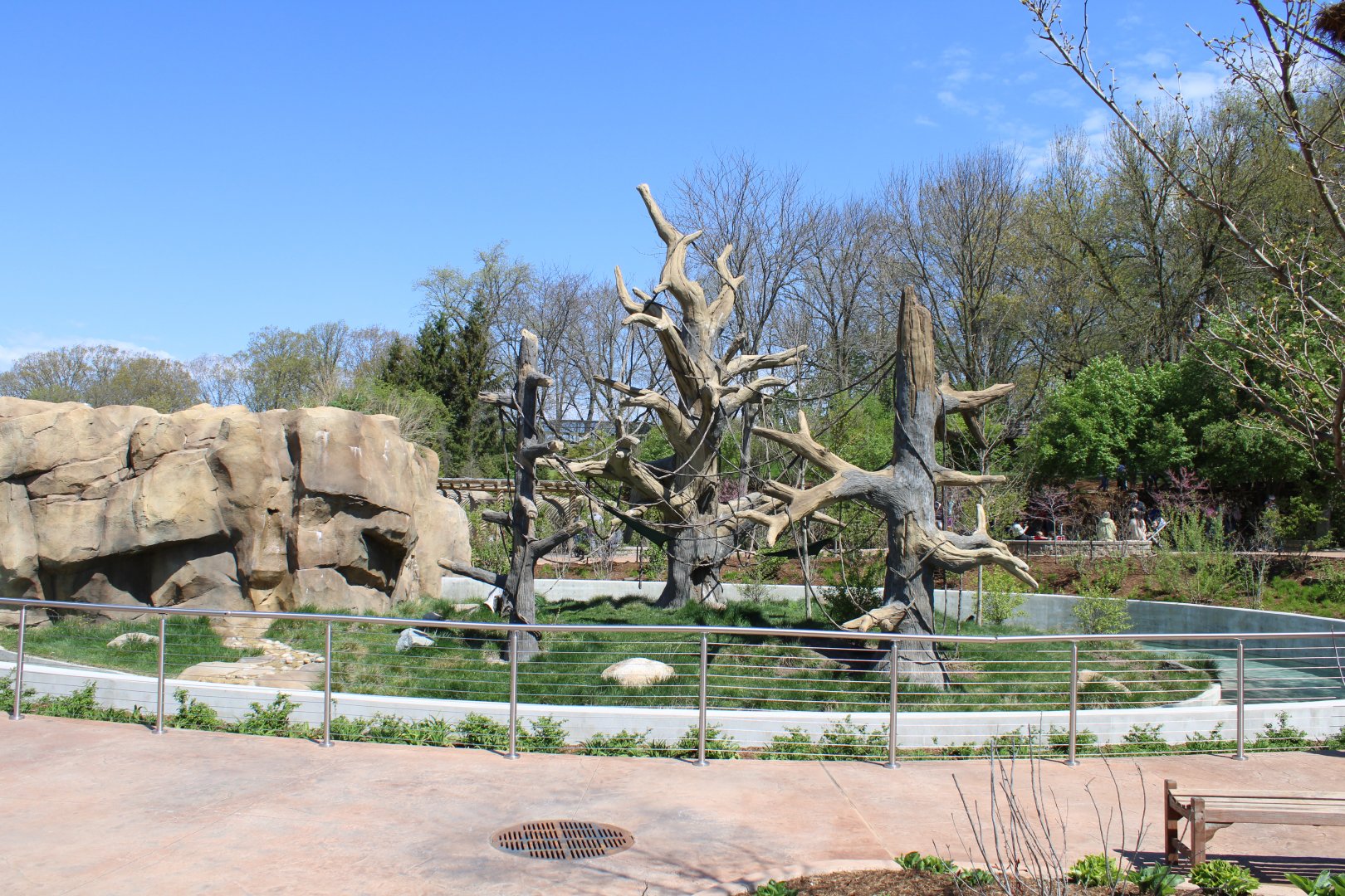 May. 2021 - Zoo Central - White-throated Capuchin Exhibit