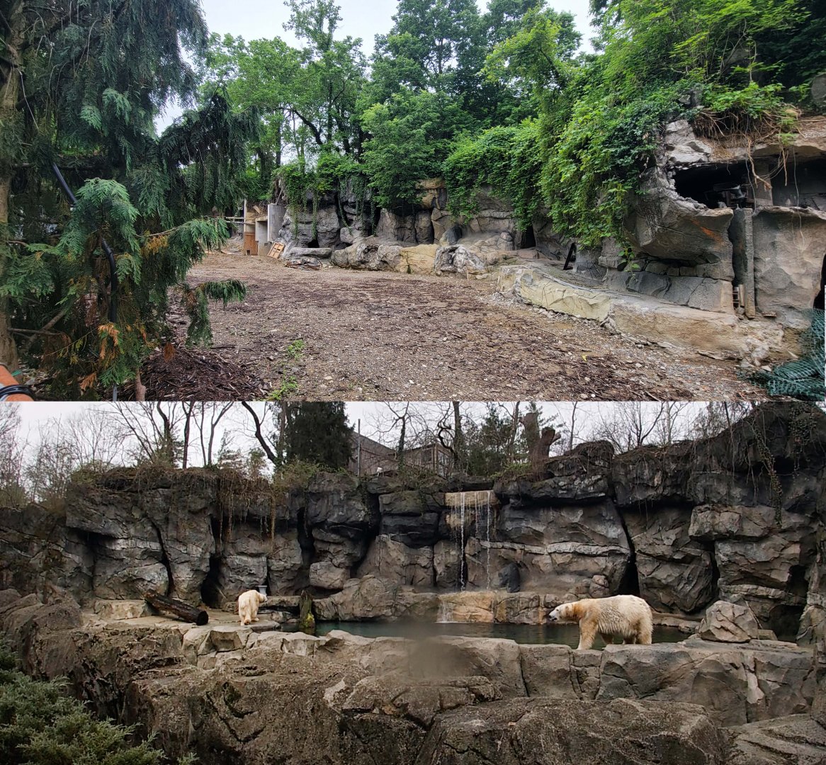 May. 2022 - Future Black Bear Exhibit (2023) / Former Polar Bear Exhibit Comparison