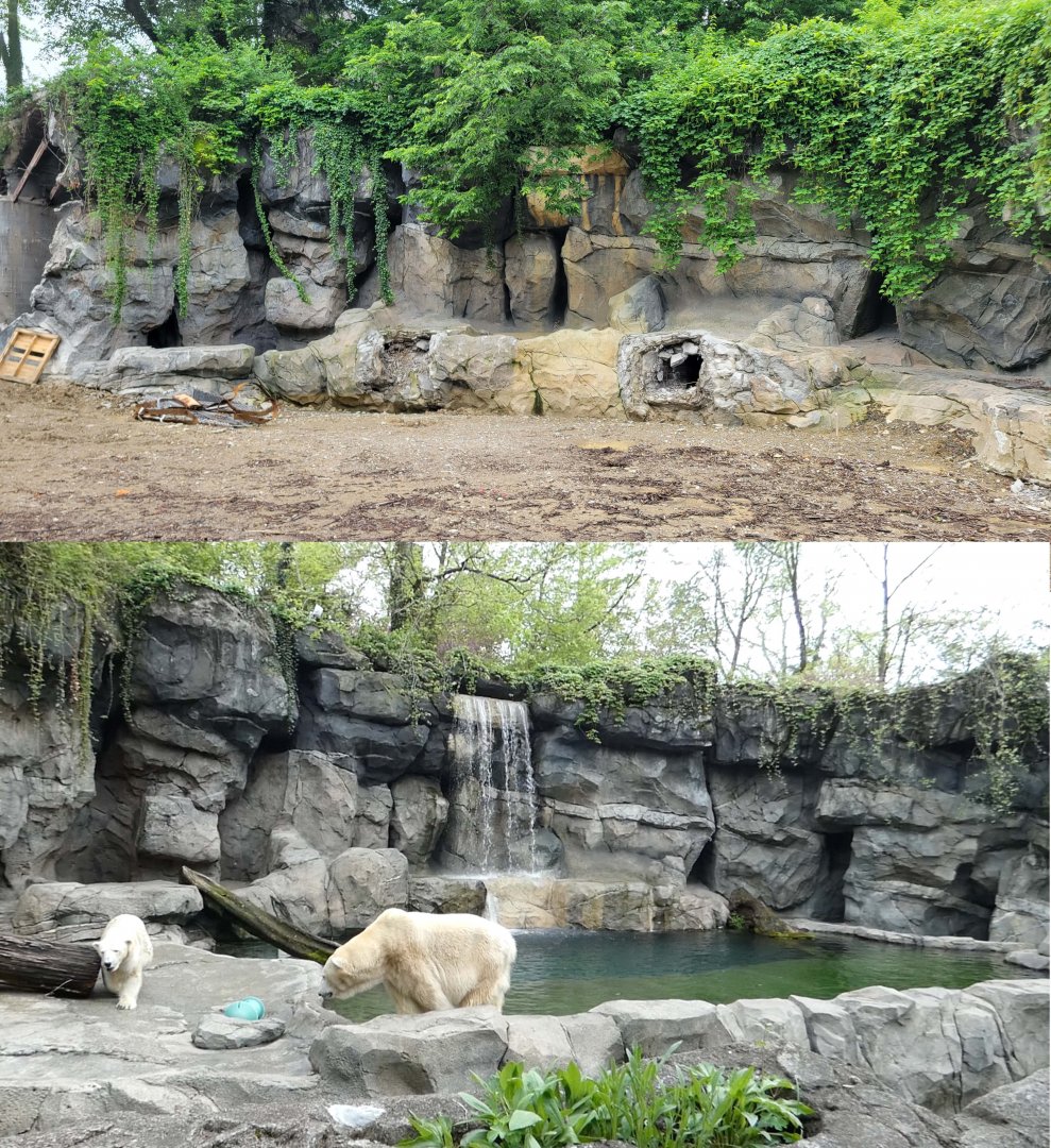 May. 2022 - Future Black Bear Exhibit (2023) / Former Polar Bear Exhibit Comparison