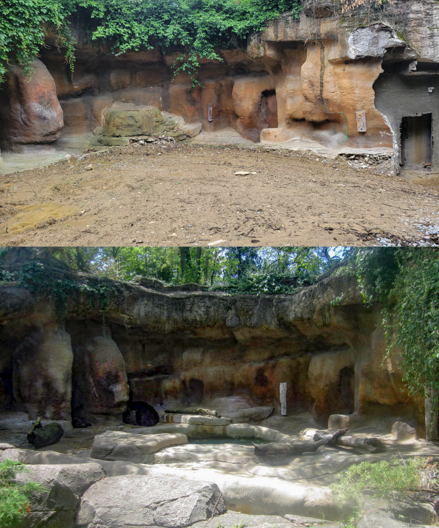 May. 2022 - Future North American Aviary / Former Black Bear Exhibit Comparison