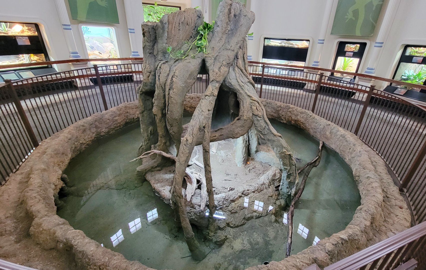 May. 2022 - Reptile House - Newly Renovated Chinese Alligator Exhibit