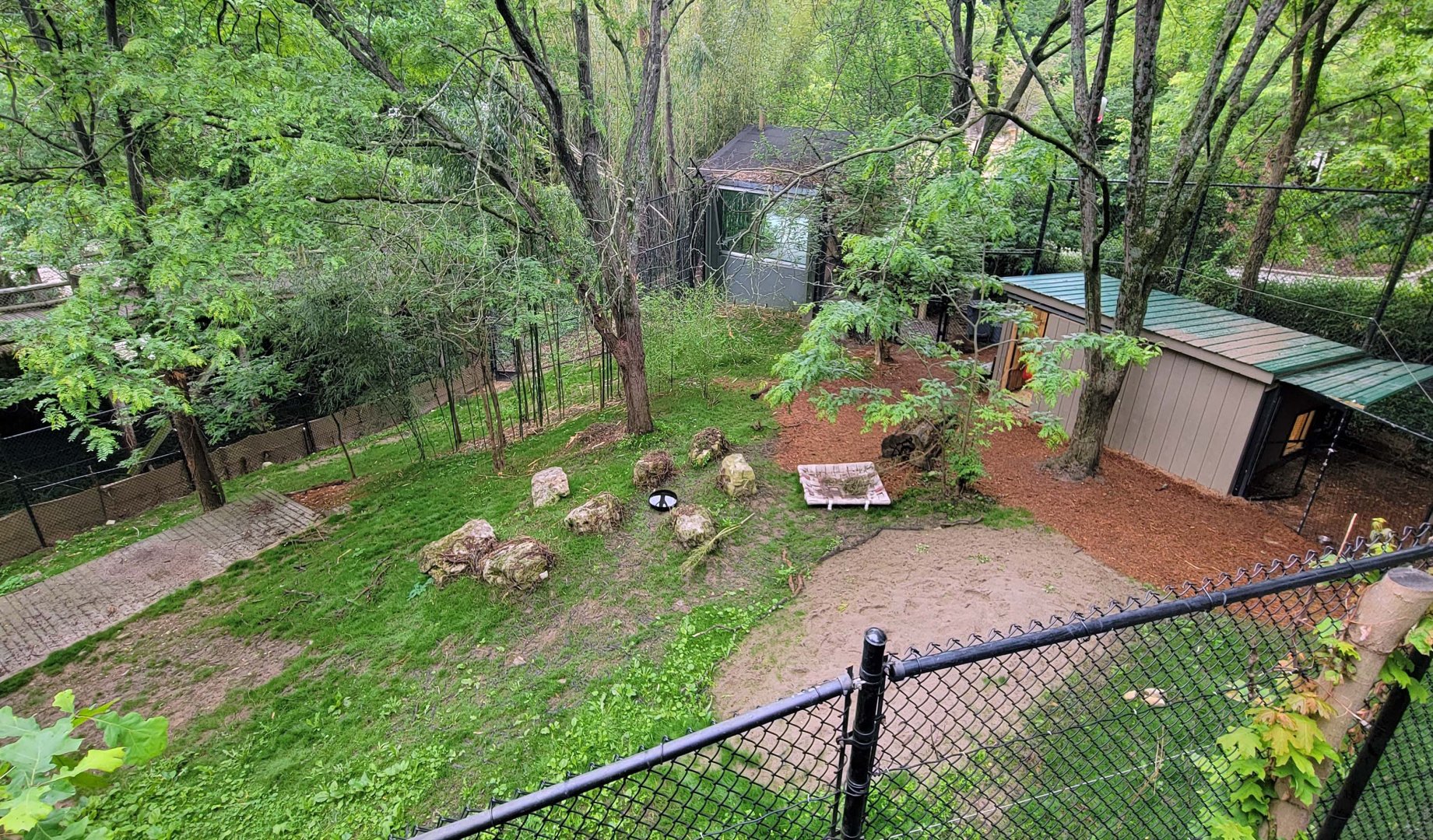 May. 2022 - Temporary Bennett's Wallaby Exhibit (Former White Lion)