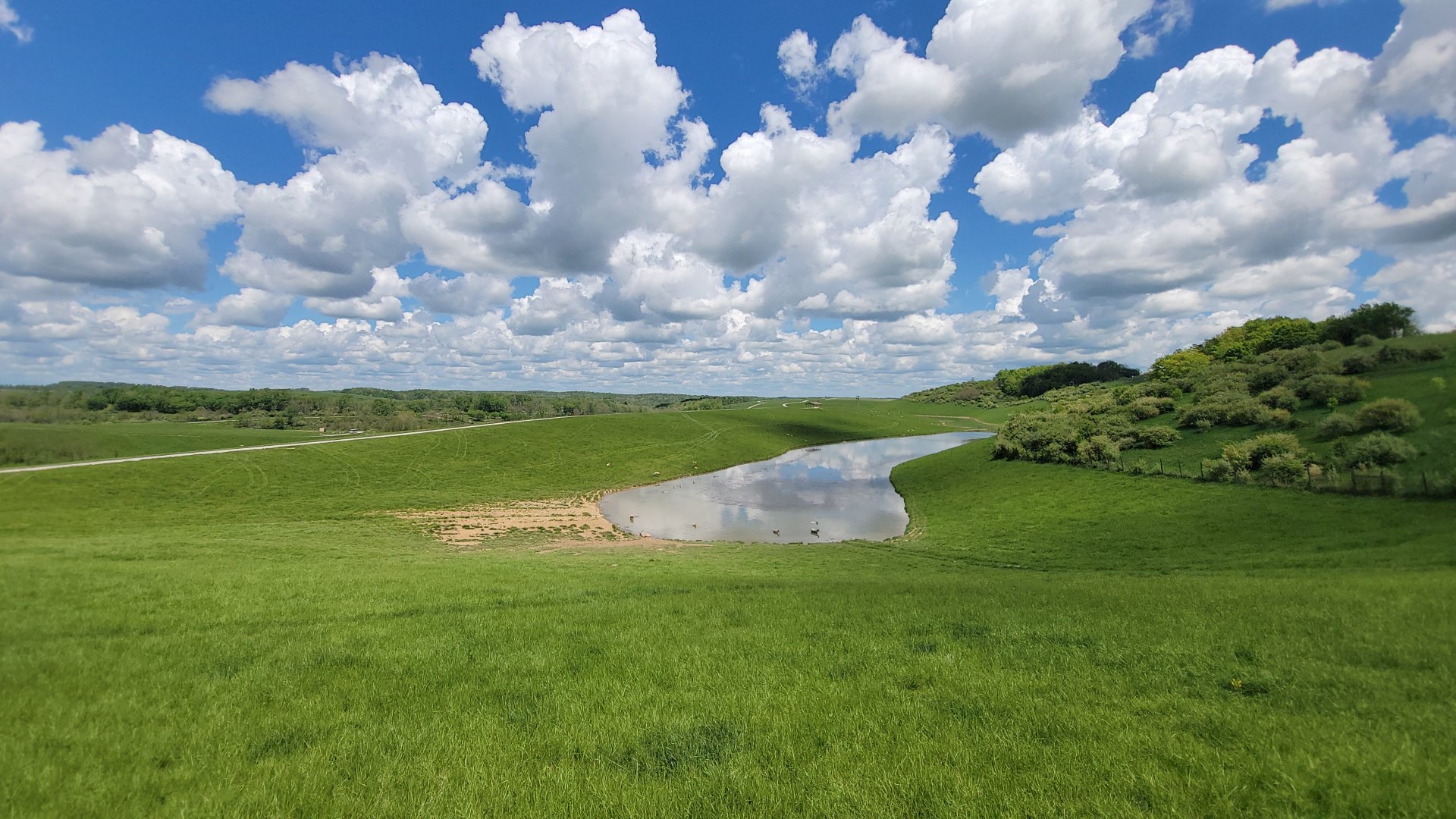 May. 2022 - The First Pasture
