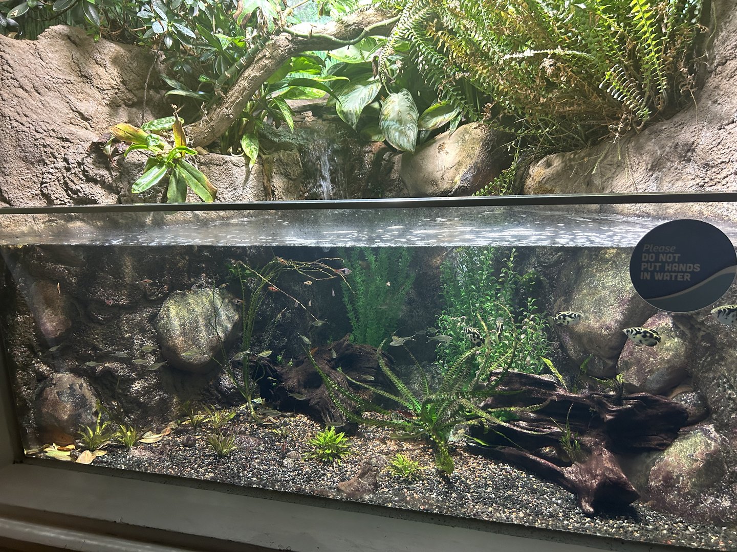 May 2023- Southeast Asian tank