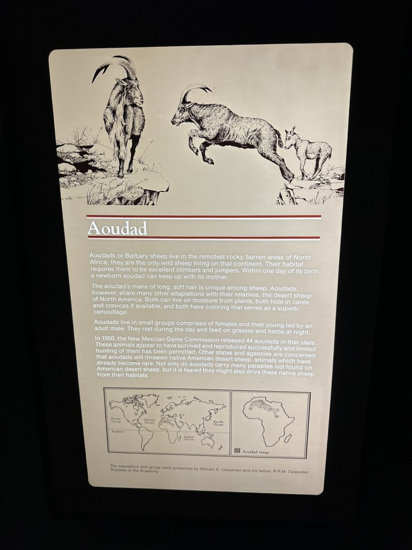 May 2025 - Africa - Aoudad Signage