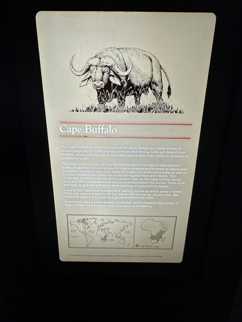 May 2025 - Africa - Buffalo Signage