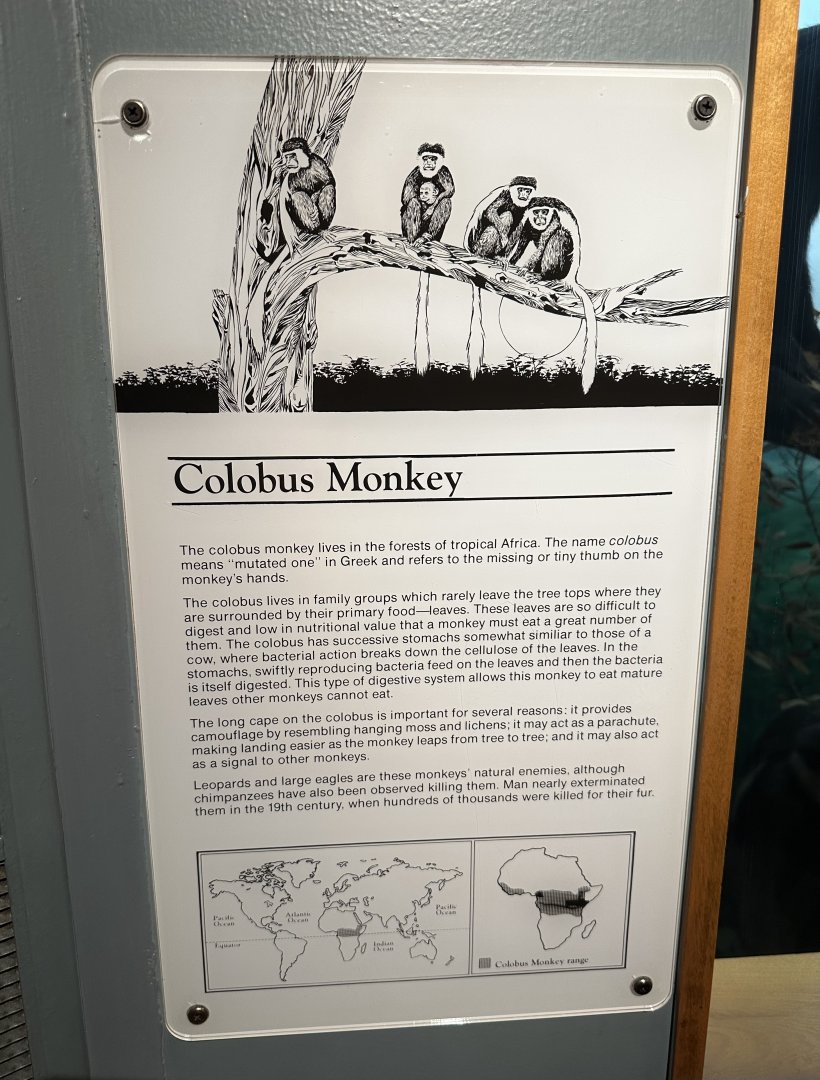May 2025 - Africa - Colobus (Guereza) Signage