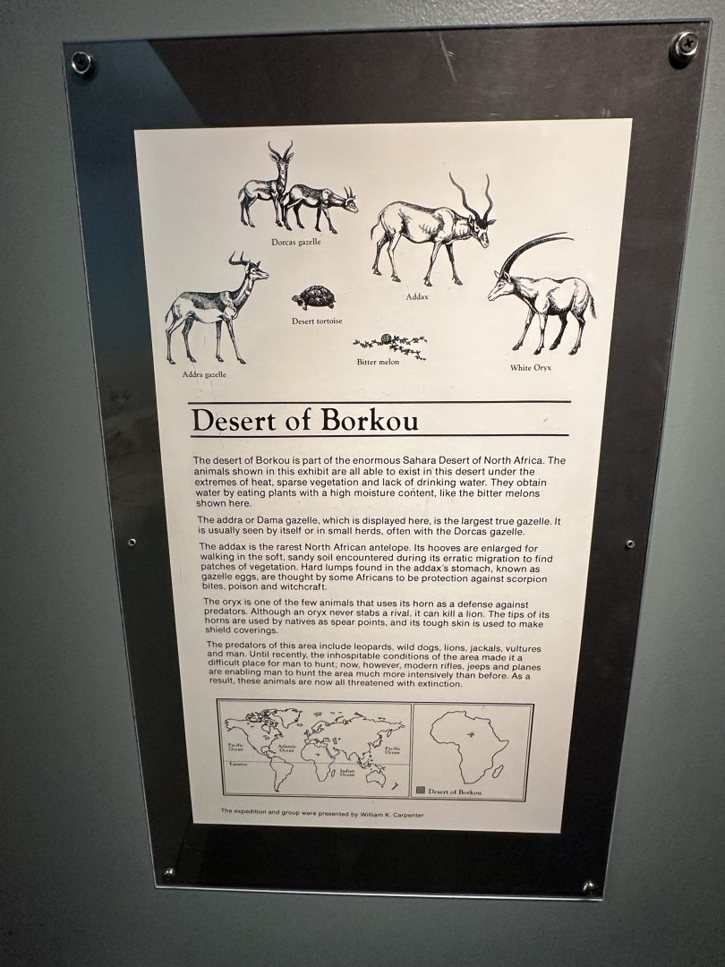 May 2025 - Africa - Desert Signage