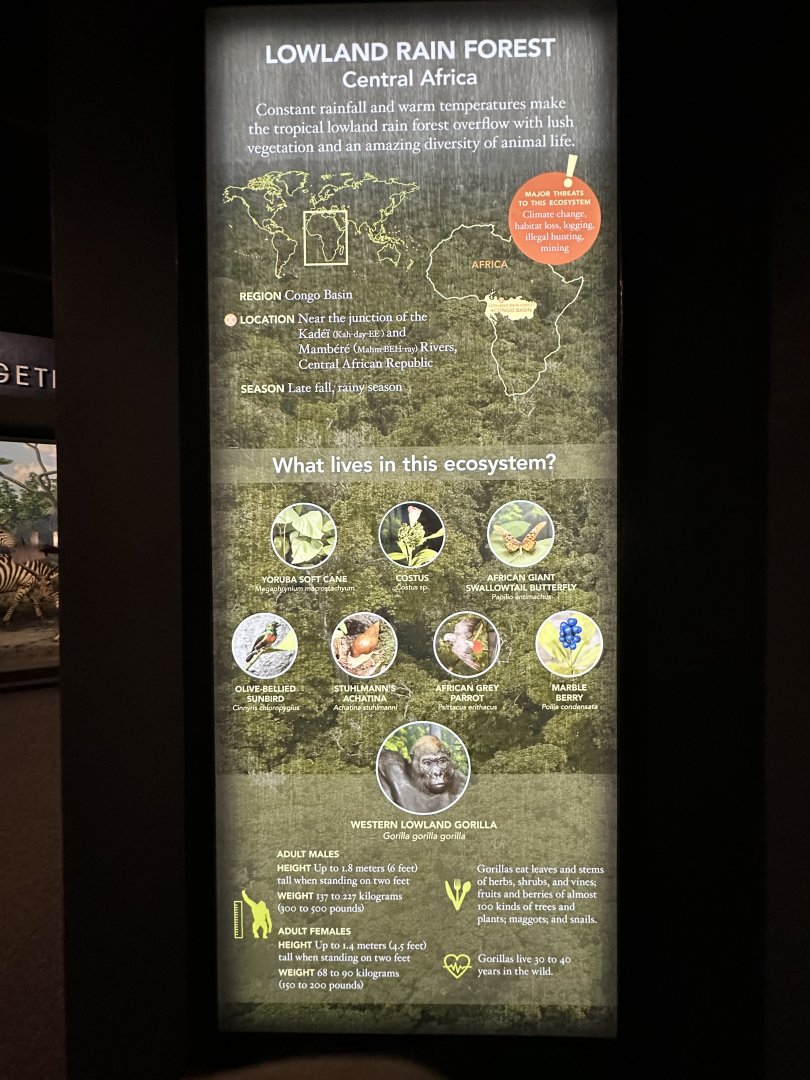 May 2025 - Africa - Gorilla Signage