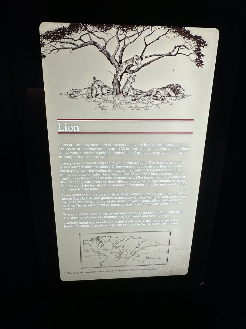 May 2025 - Africa - Lion Signage