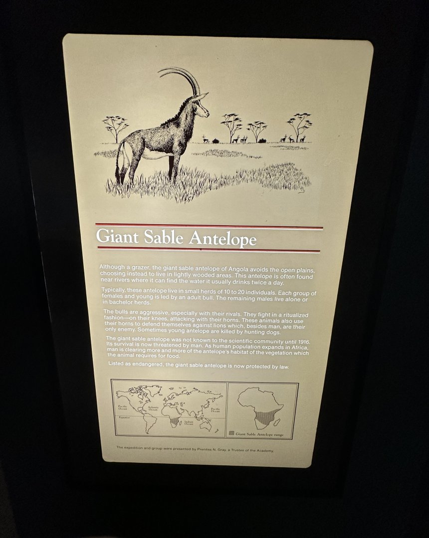 May 2025 - Africa - Sable Antelope Signage