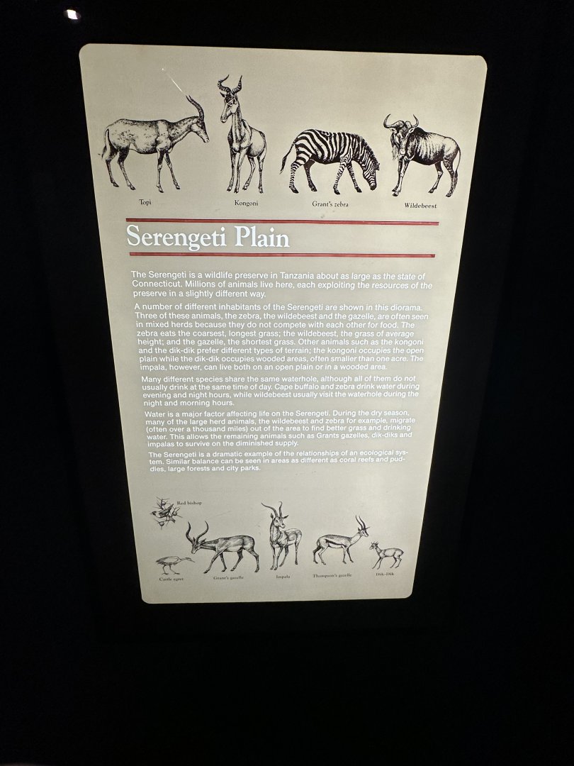 May 2025 - Africa - Serengeti Signage