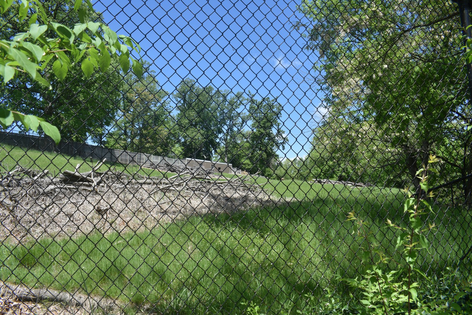 May. 2025 - African Panorama - Abyssinian Ground Hornbill, Greater Kudu, Common Ostrich Exhibit