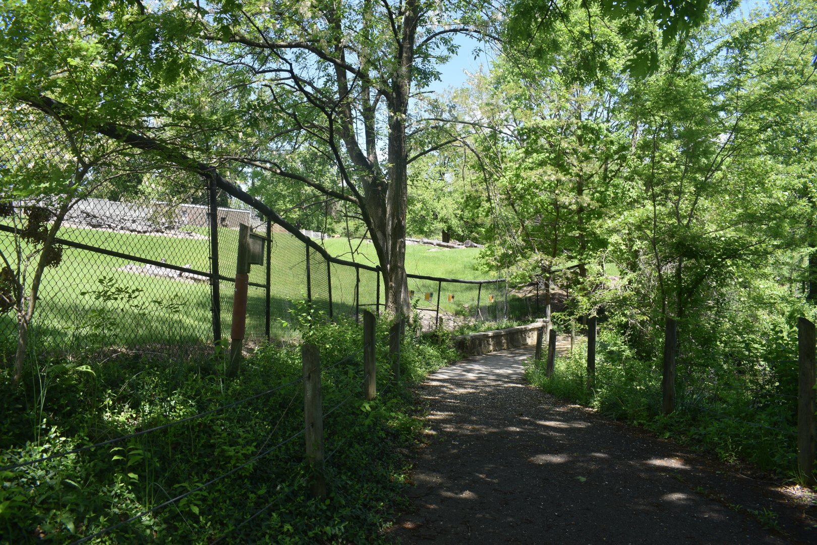 May. 2025 - African Panorama - Abyssinian Ground Hornbill, Greater Kudu, Common Ostrich Exhibit