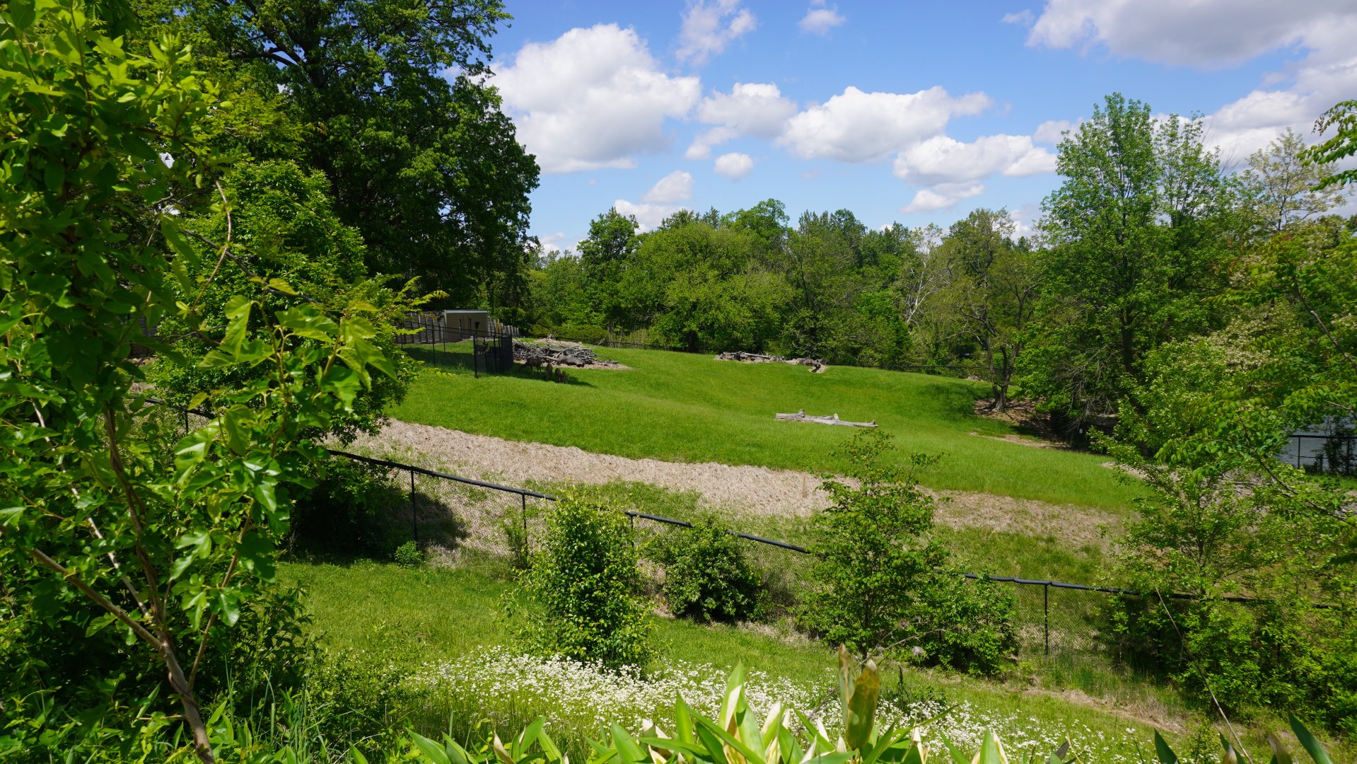 May. 2025 - African Panorama - Abyssinian Ground Hornbill, Greater Kudu, Common Ostrich Exhibit