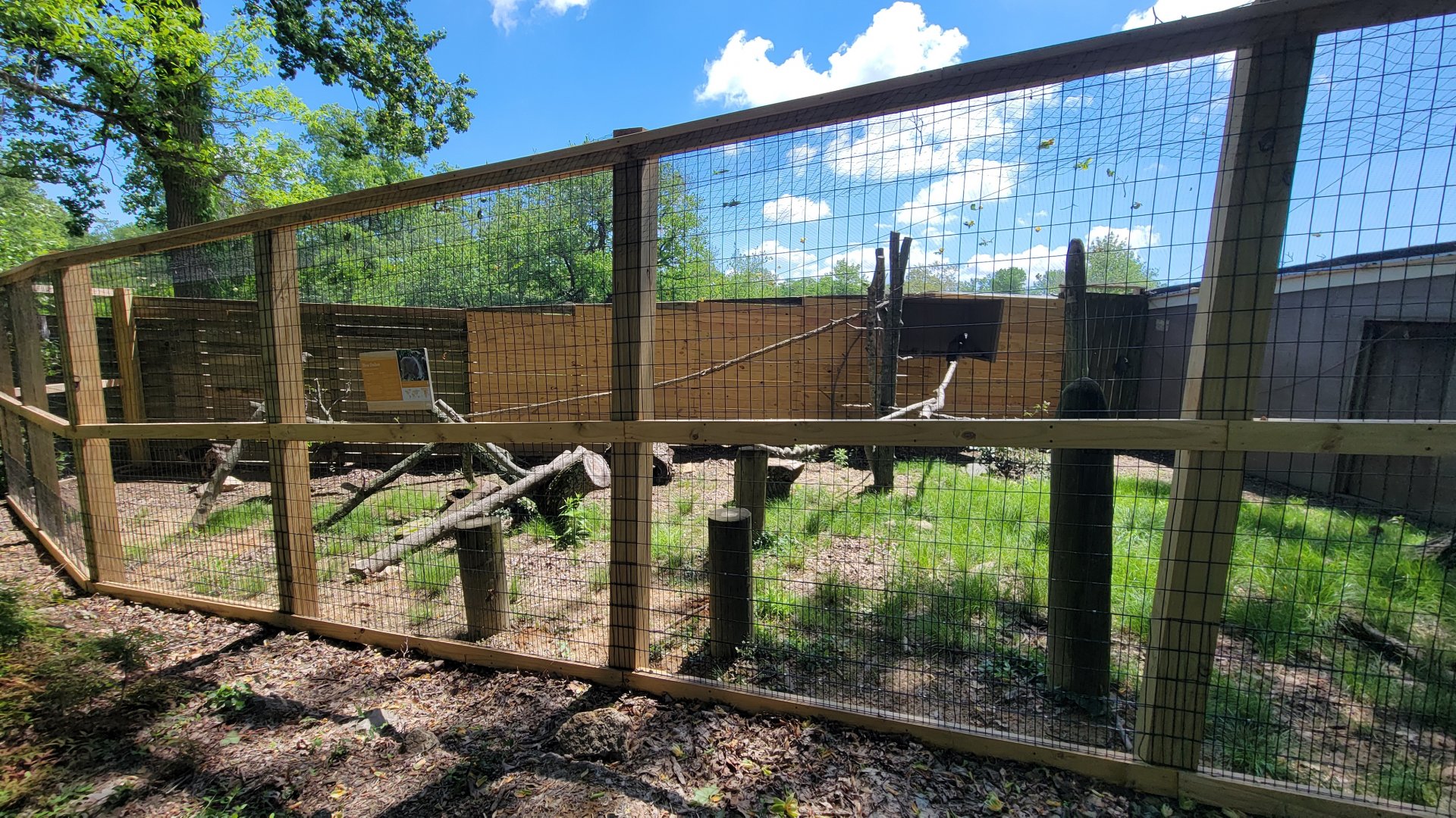 May. 2025 - African Panorama - Blue Duiker & Turkey Vulture Exhibit