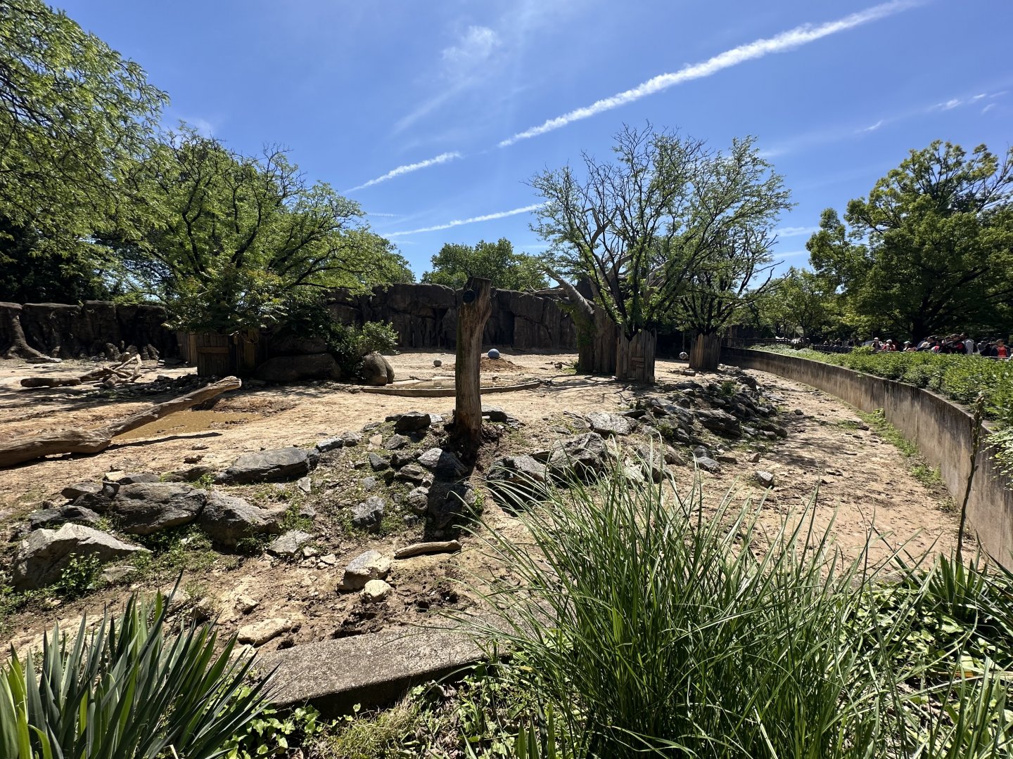 May 2025 - African Plains - Mixed Enclosure