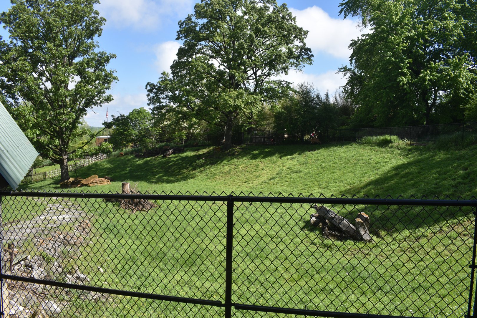 May. 2025 - African Rift Valley - Sitatunga Exhibit